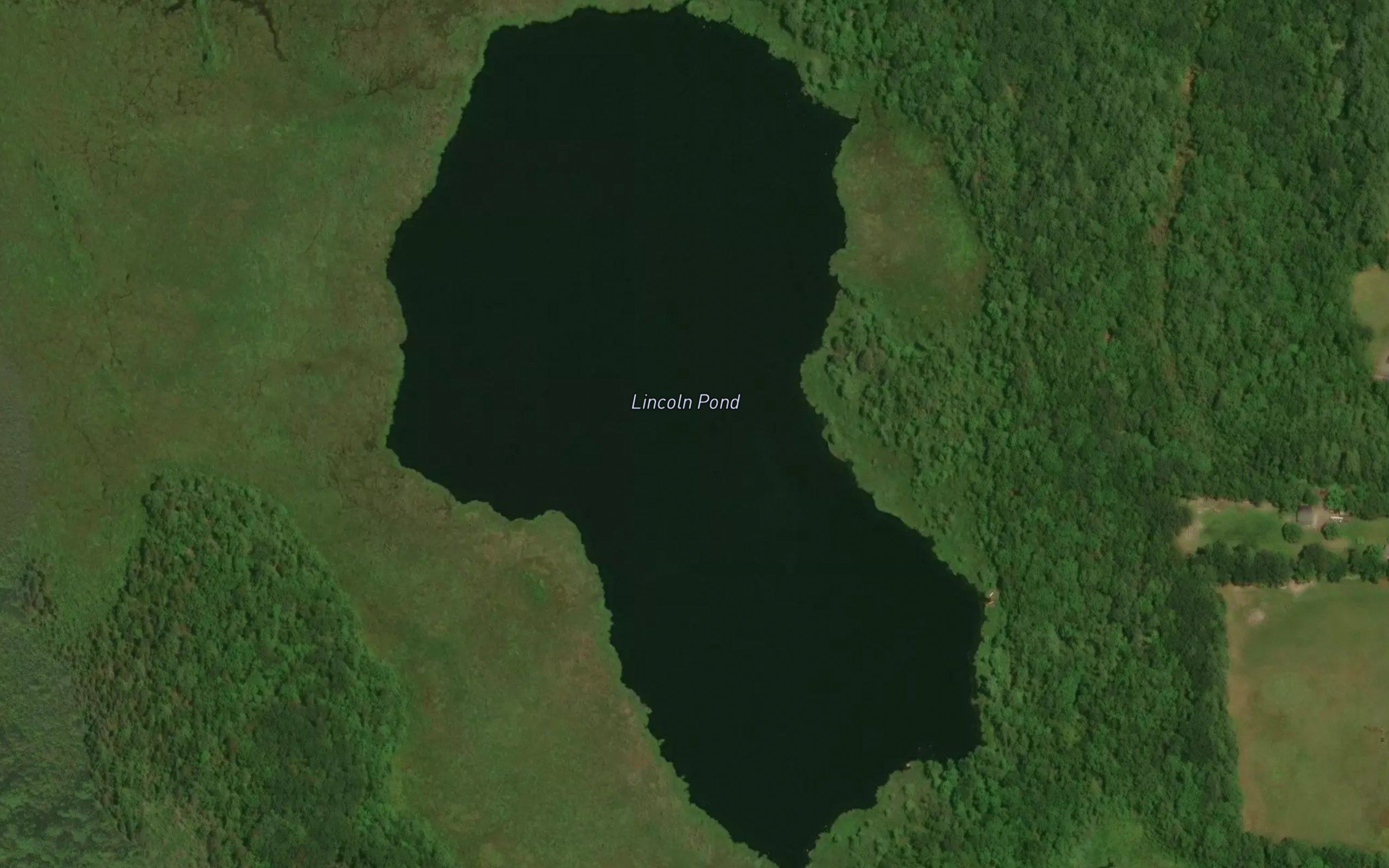 Lincoln Pond