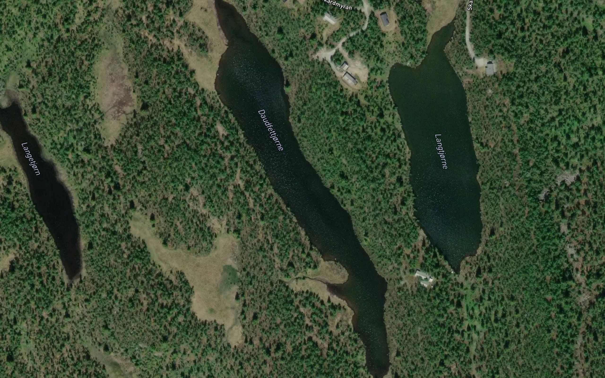 Daufettjorn