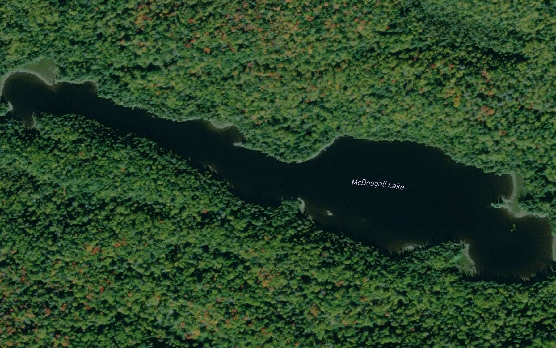 Satellite map of the McDougall Lake