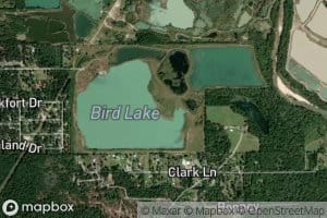 Bird Lake