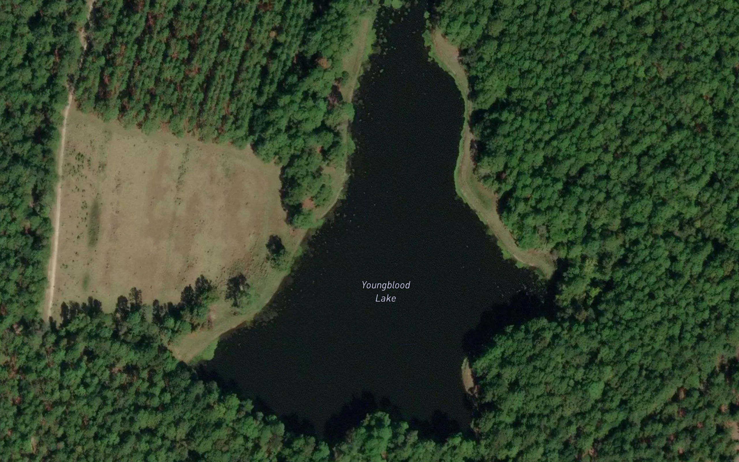 Youngblood Lake
