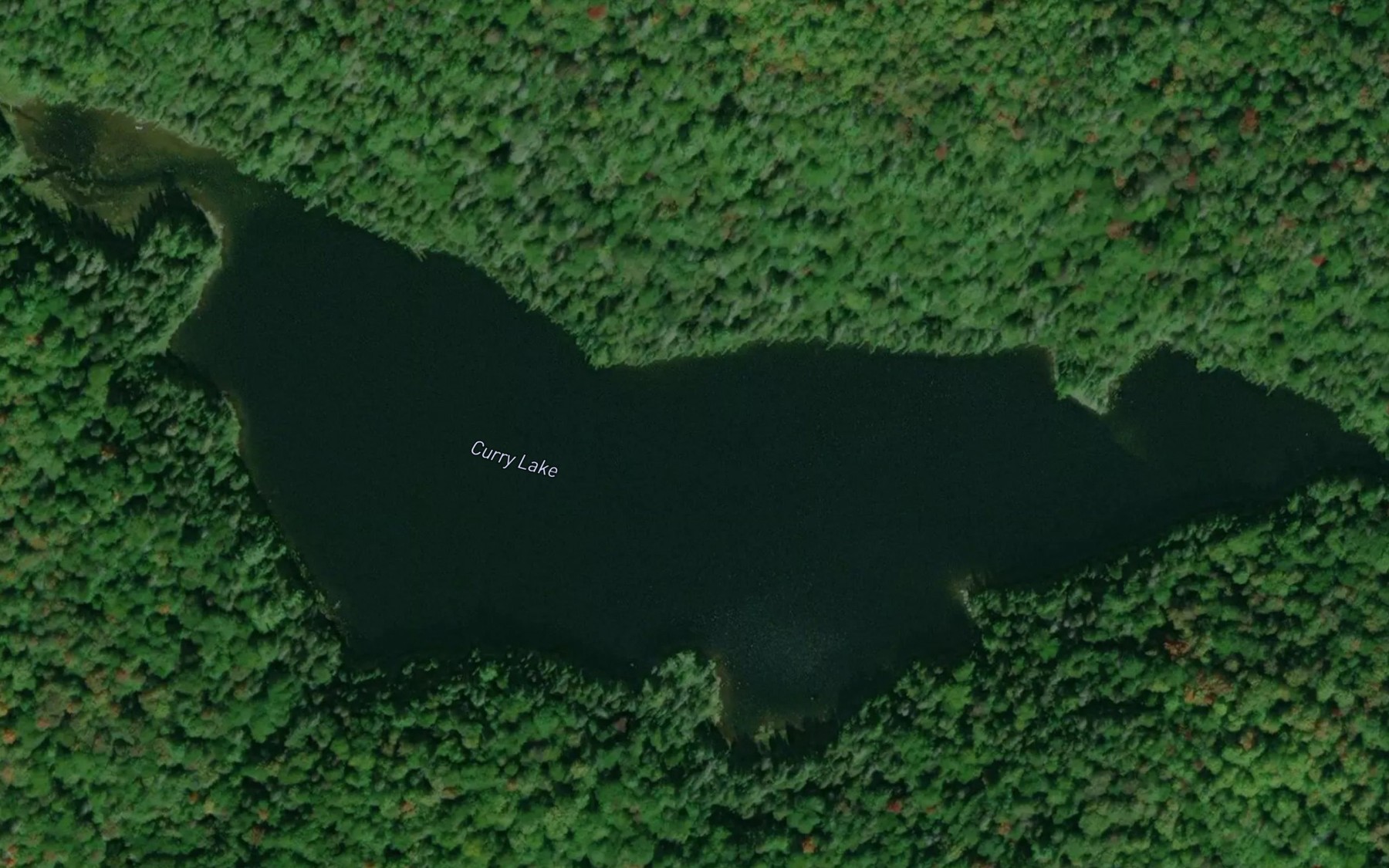 Satellite map of the Curry Lake