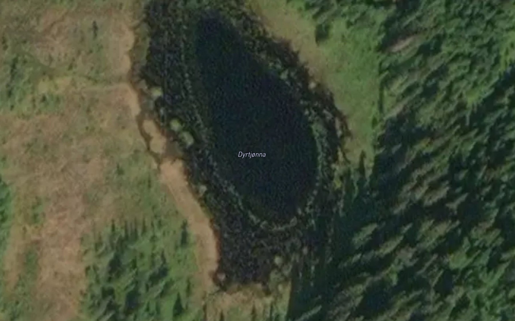 Satellite map of the Dyrtjorna