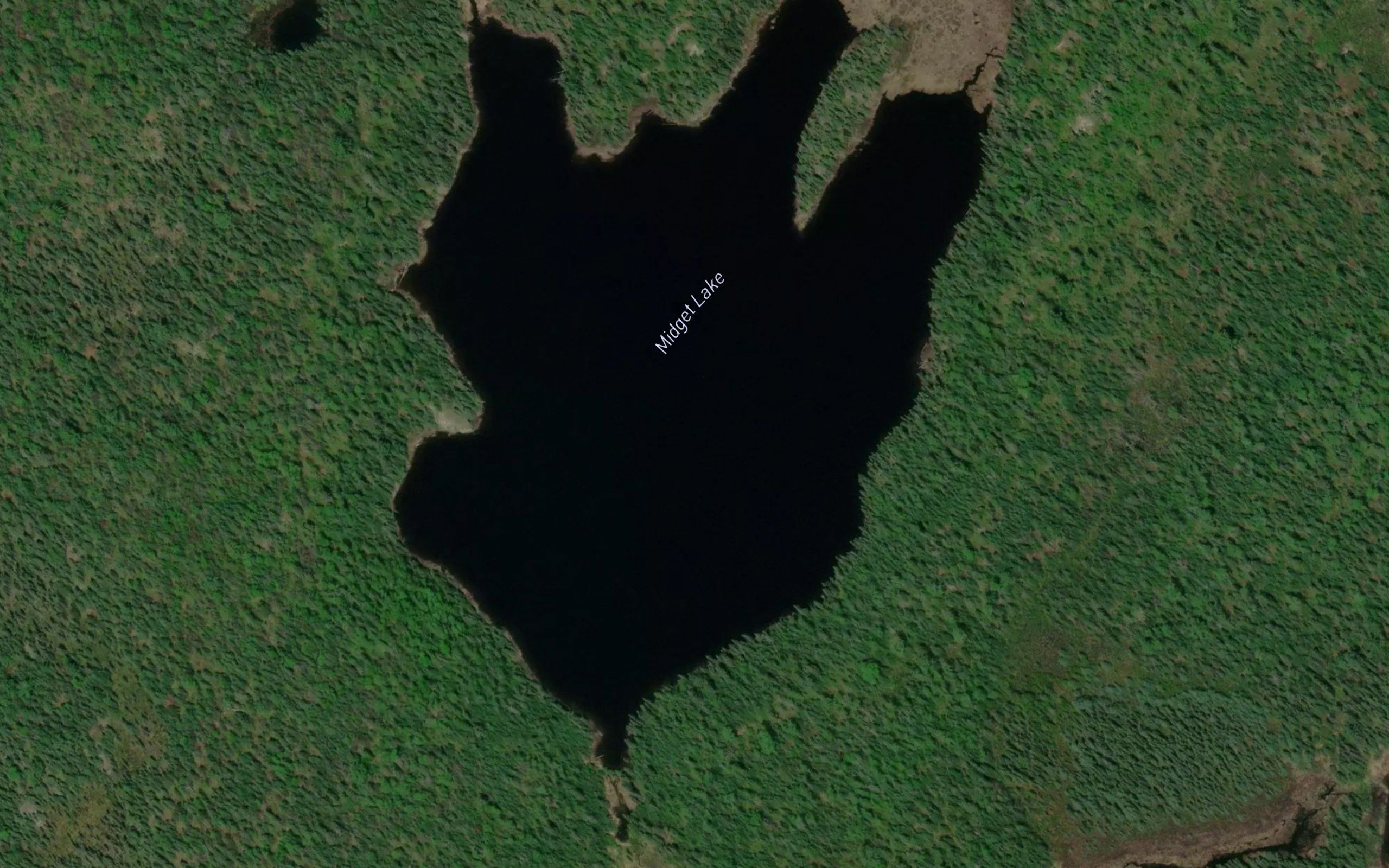 Midget Lake