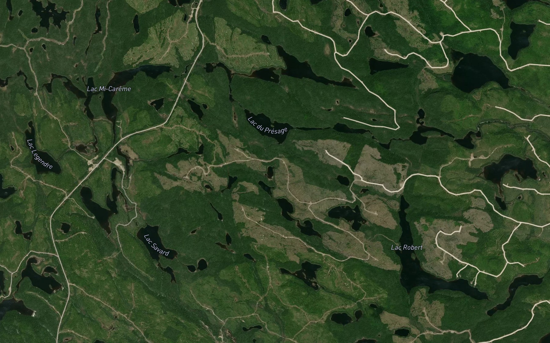 Satellite map of the Lac de la Bete