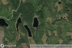 Medalsgrandalstjernet