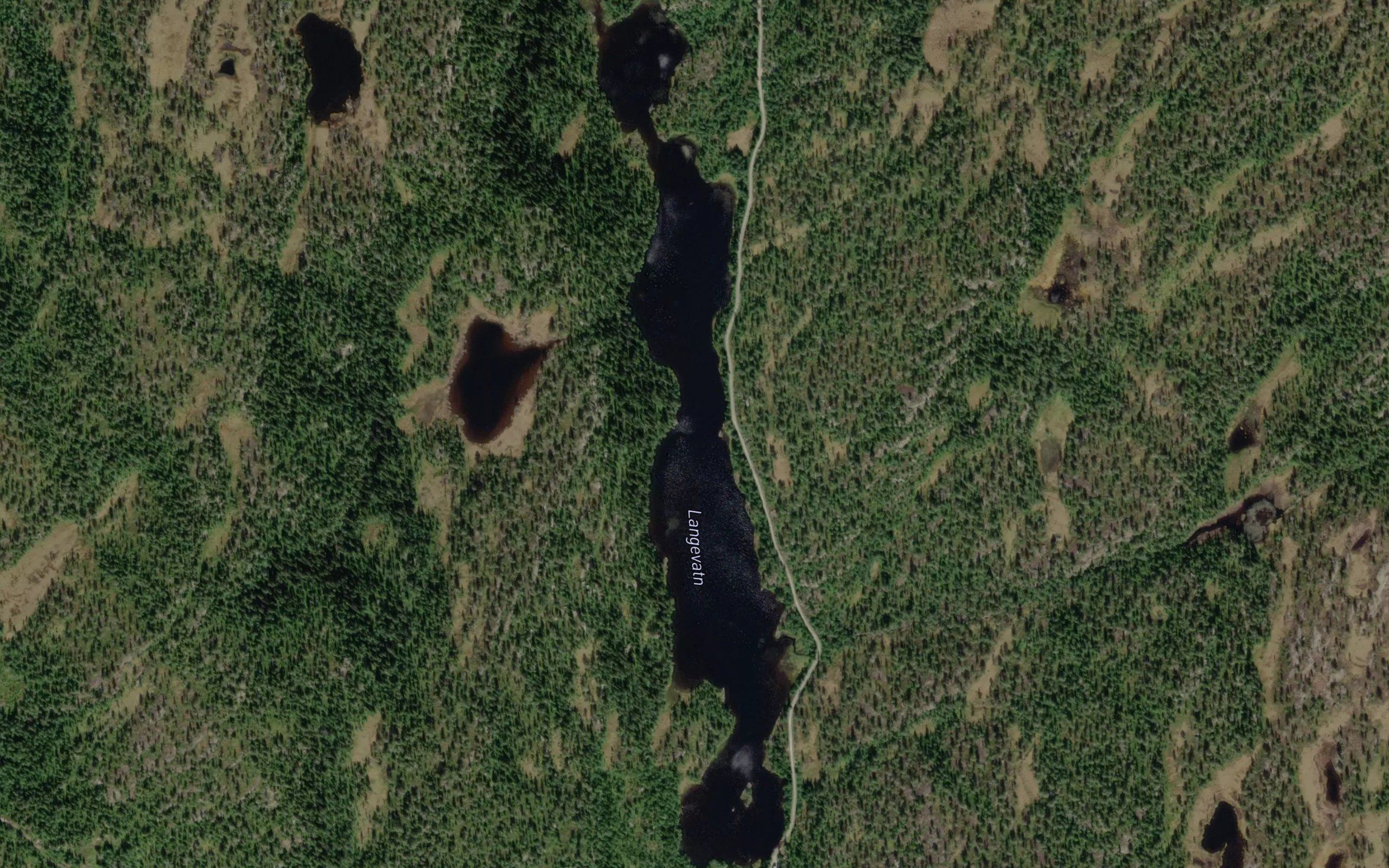 Langevatnet