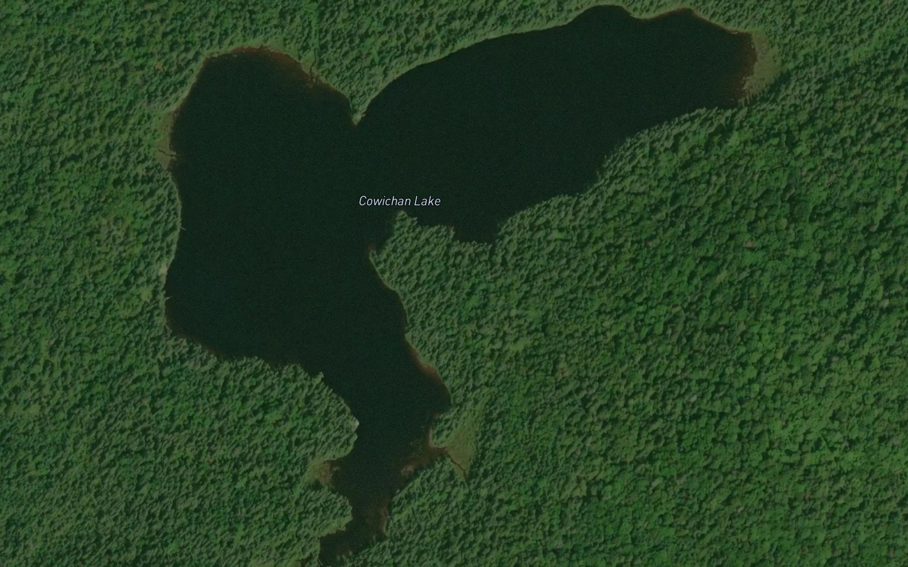 Satellite map of the Cowichan Lake