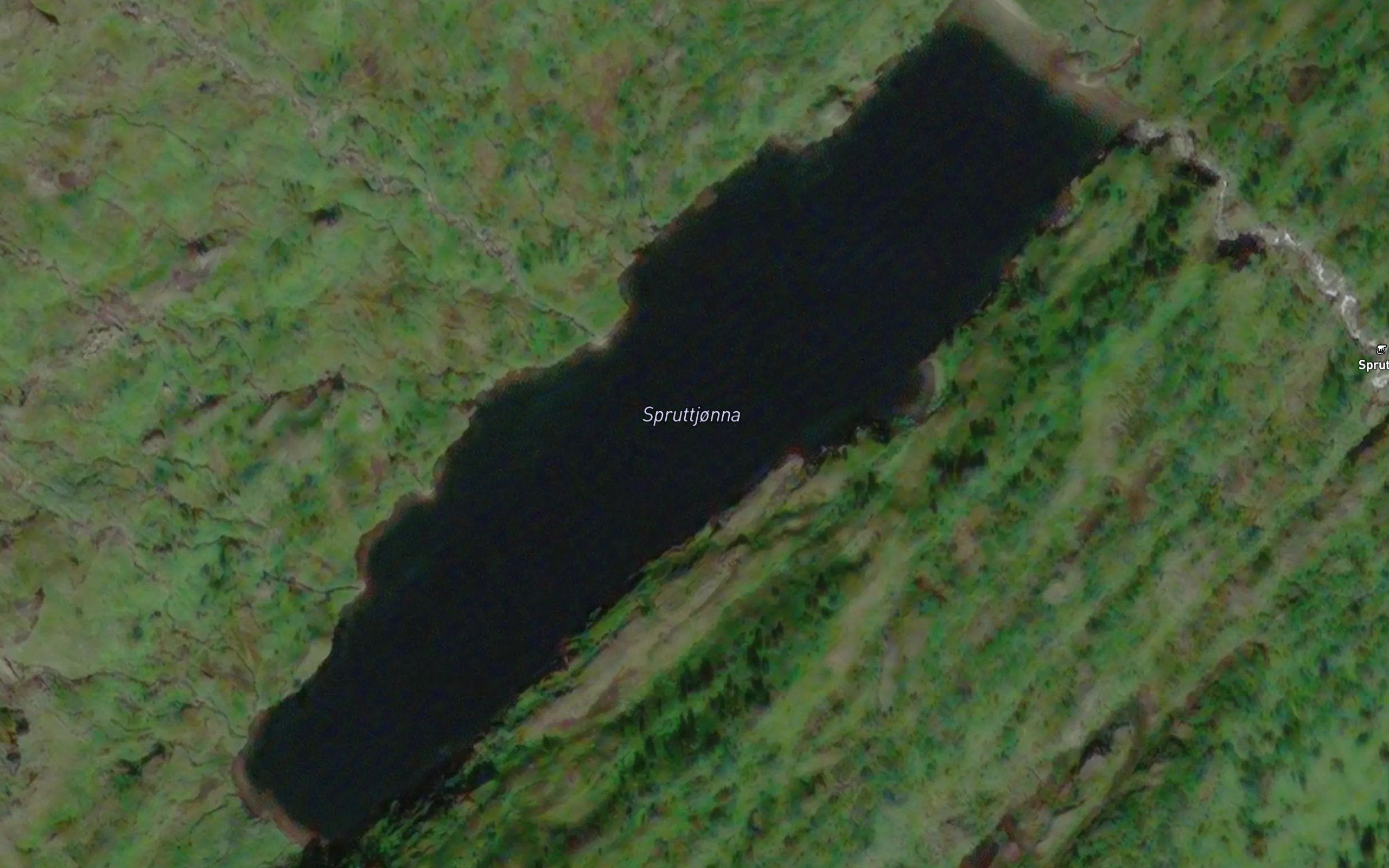 Spruttjorna