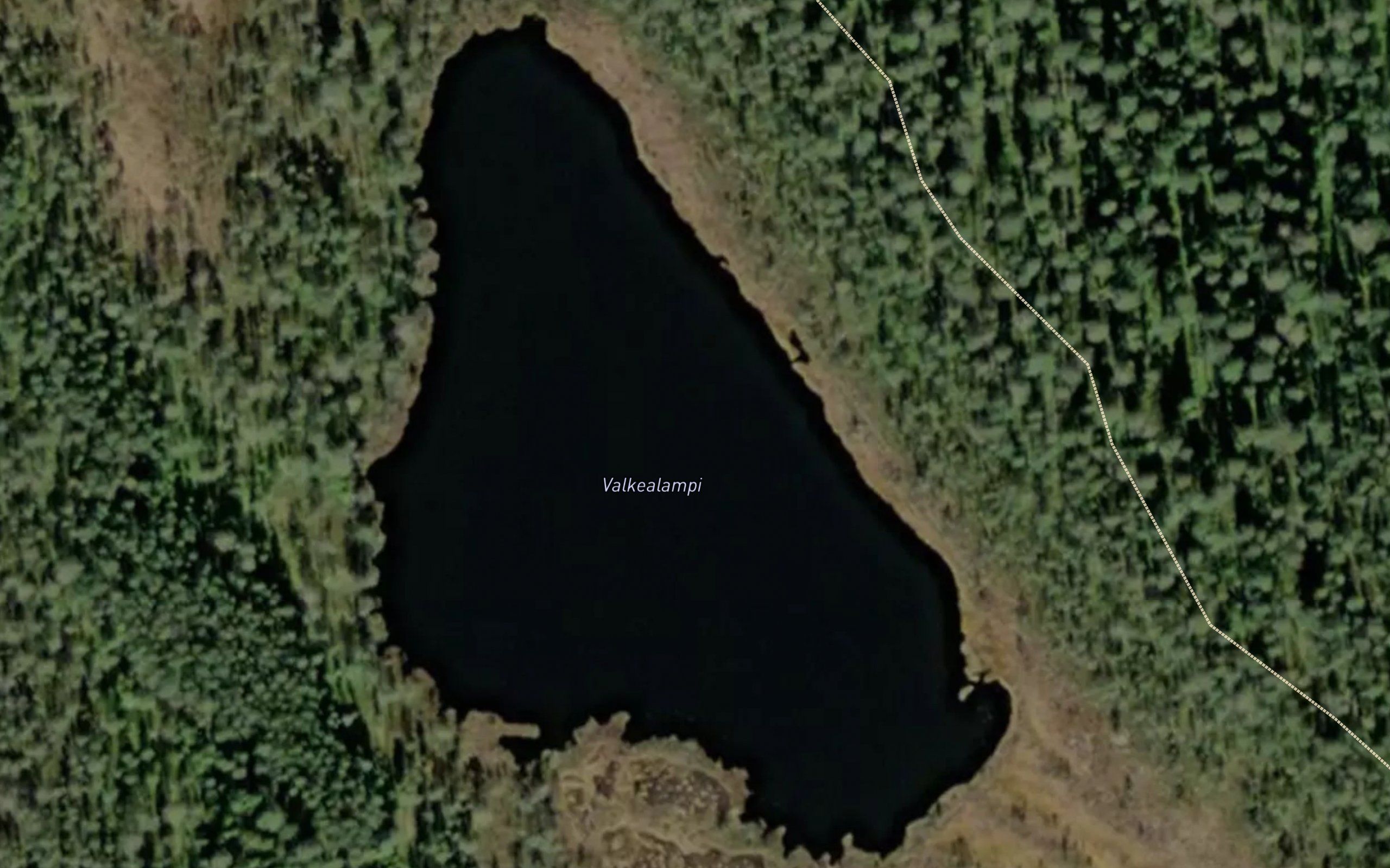 Valkealampi