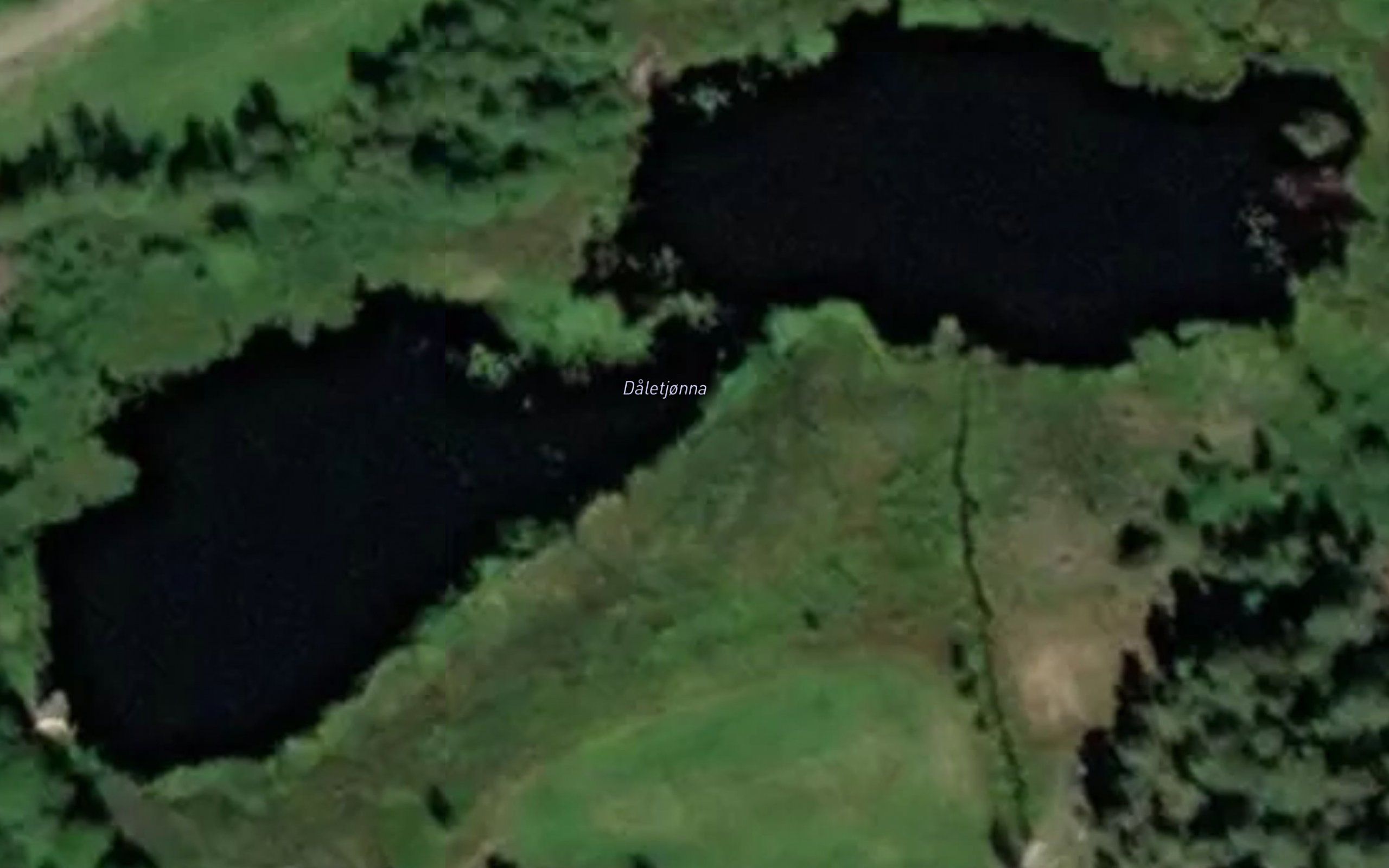 Daletjonna