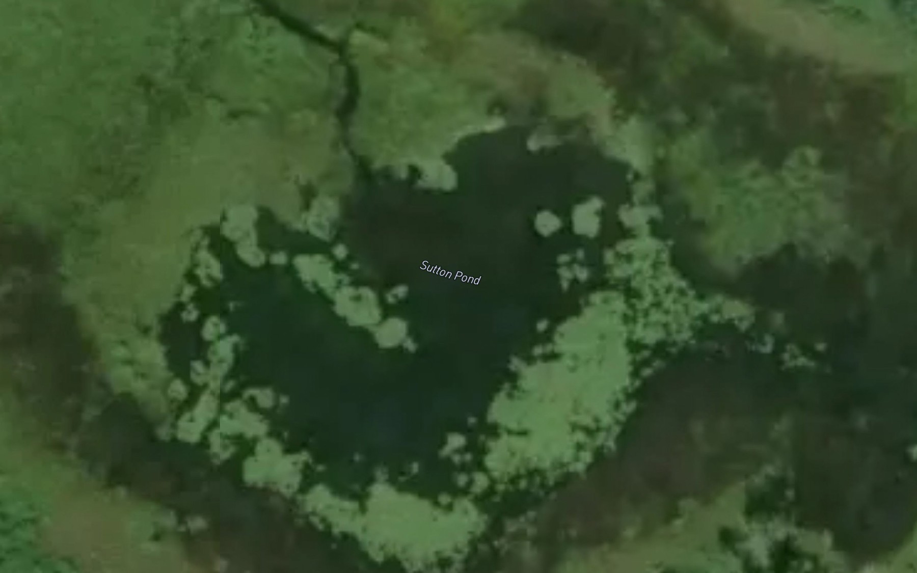 Satellite map of the Sutton Pond