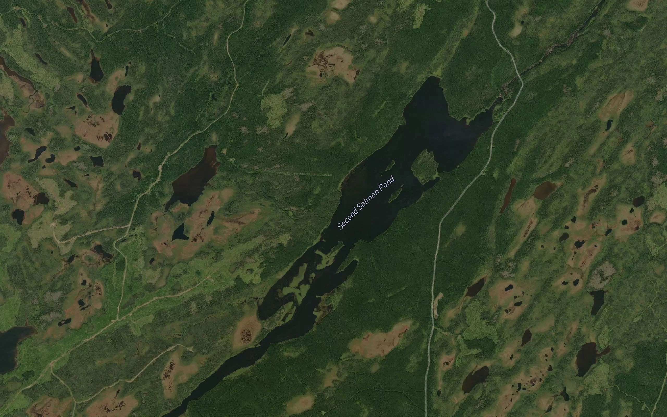 Second Salmon Pond