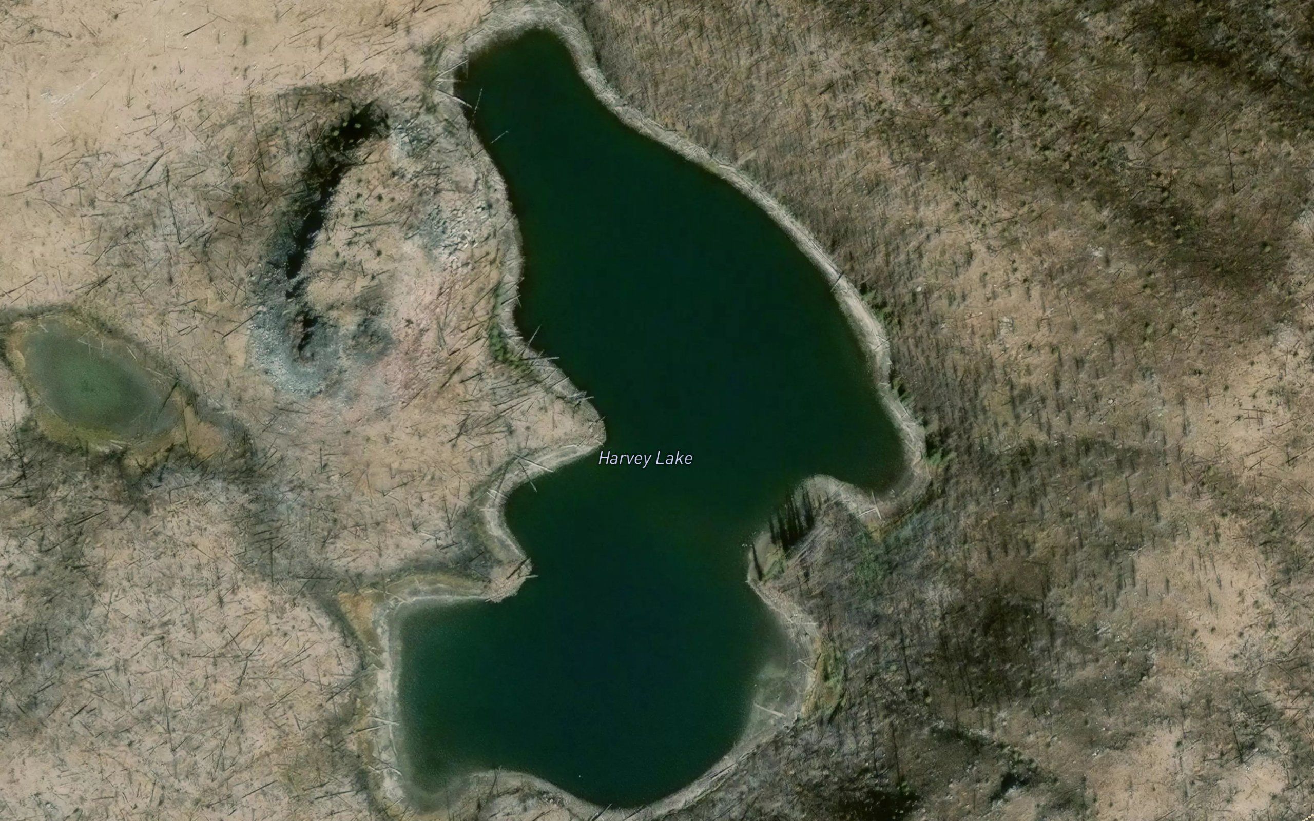 Harvey Lake