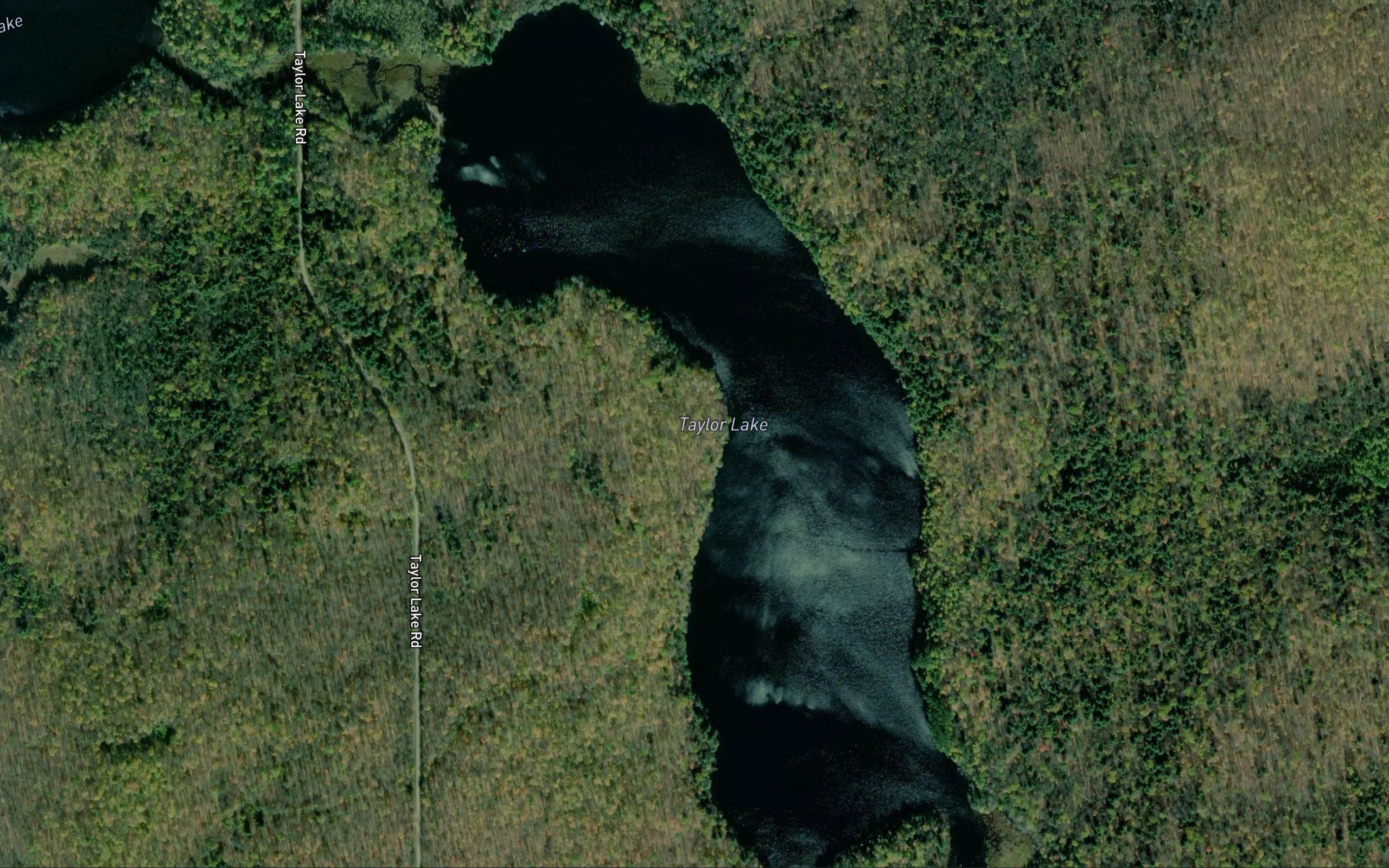 Taylor Lake