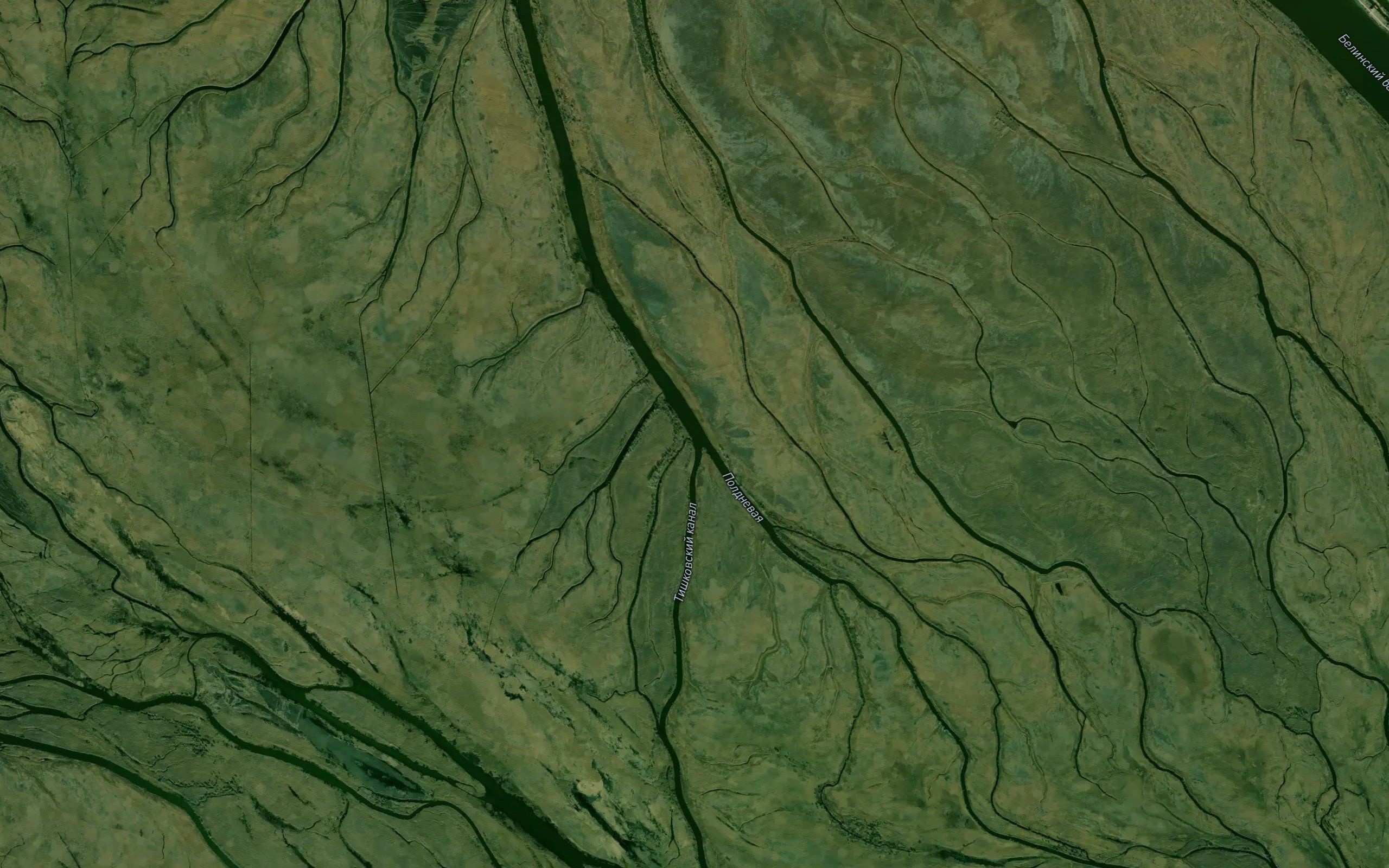 Poldnevaya