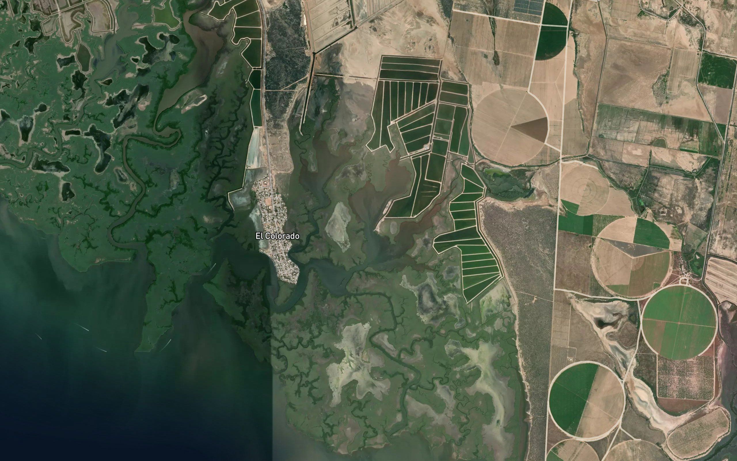 Estero el Colorado