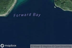 Forward Bay