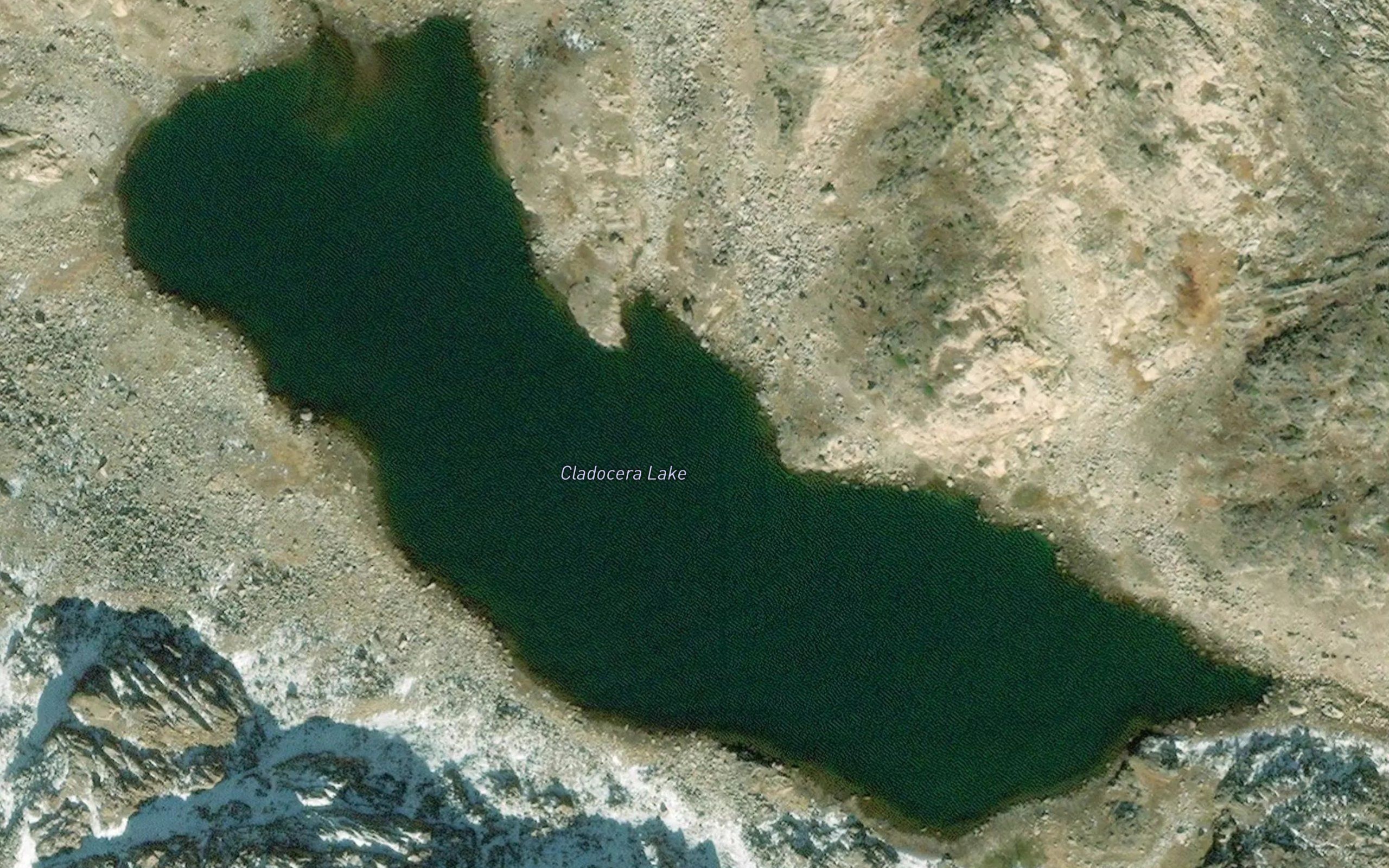 Cladocera Lake