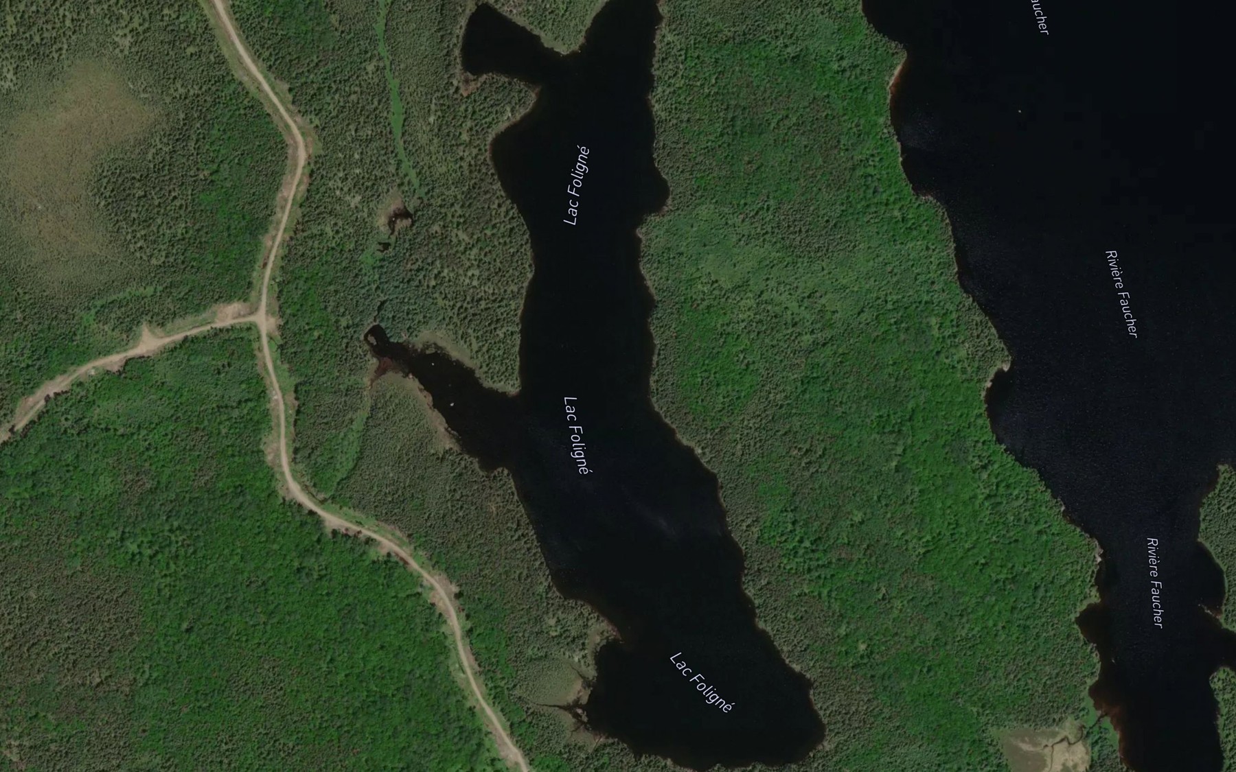 Satellite map of the Lac Foligne