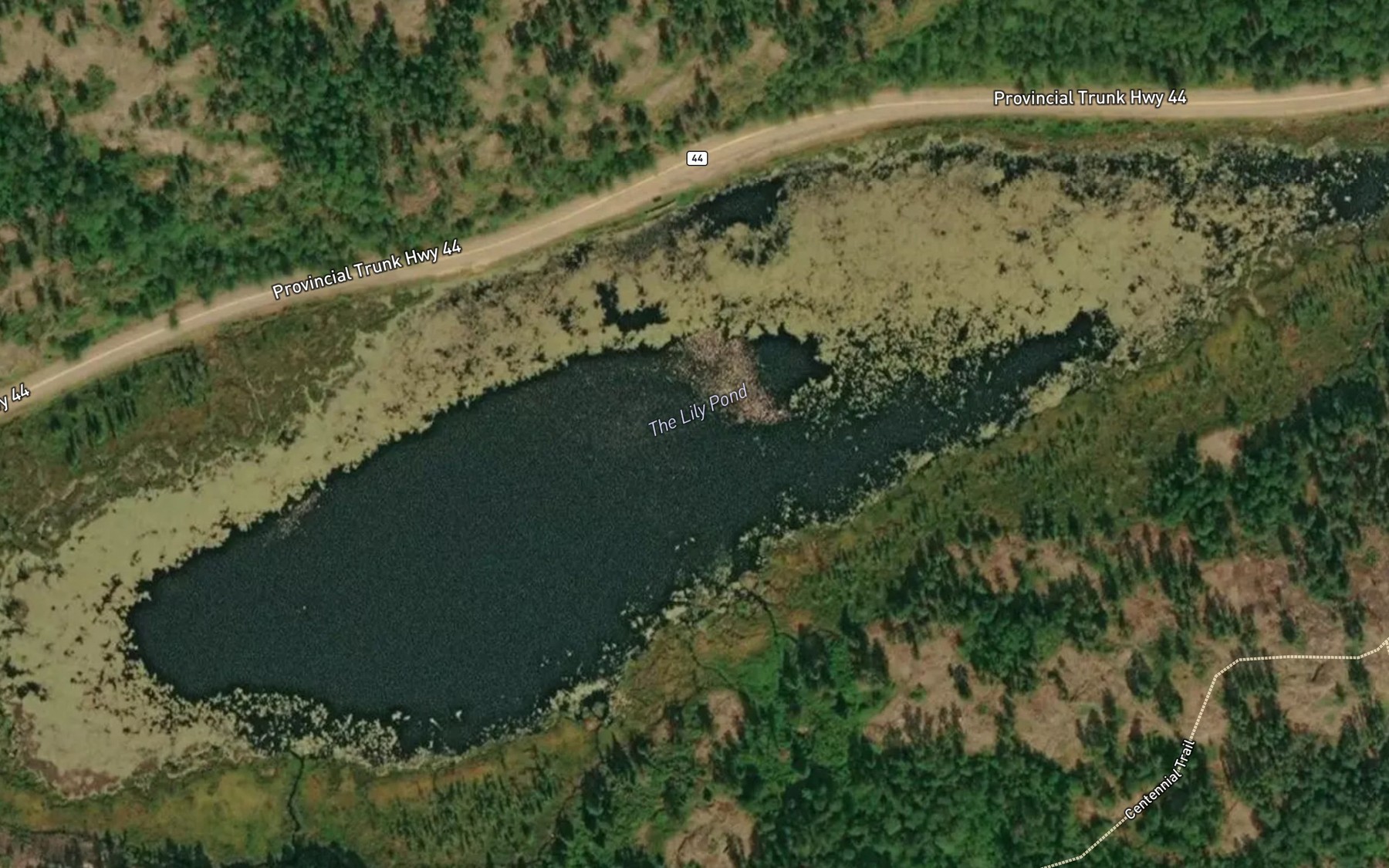 Satellite map of the The Lily Pond
