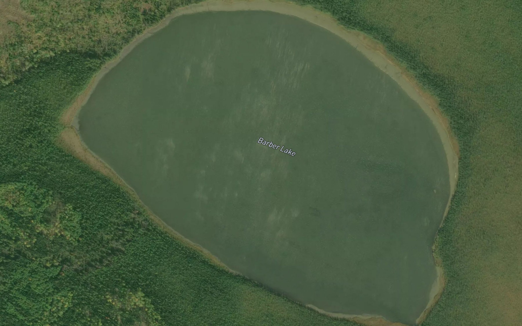 Satellite map of the Barber Lake