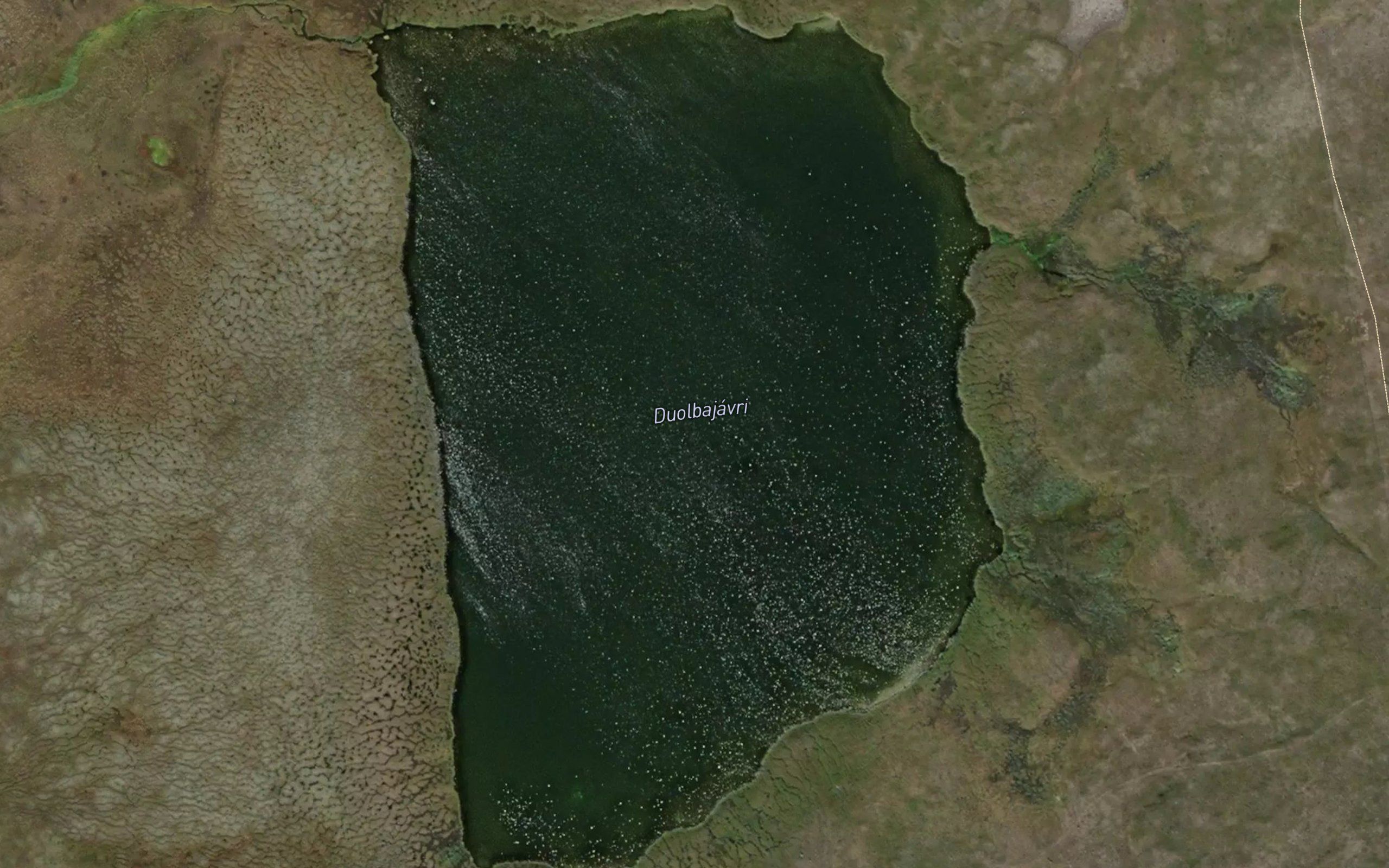 Duolbajavri