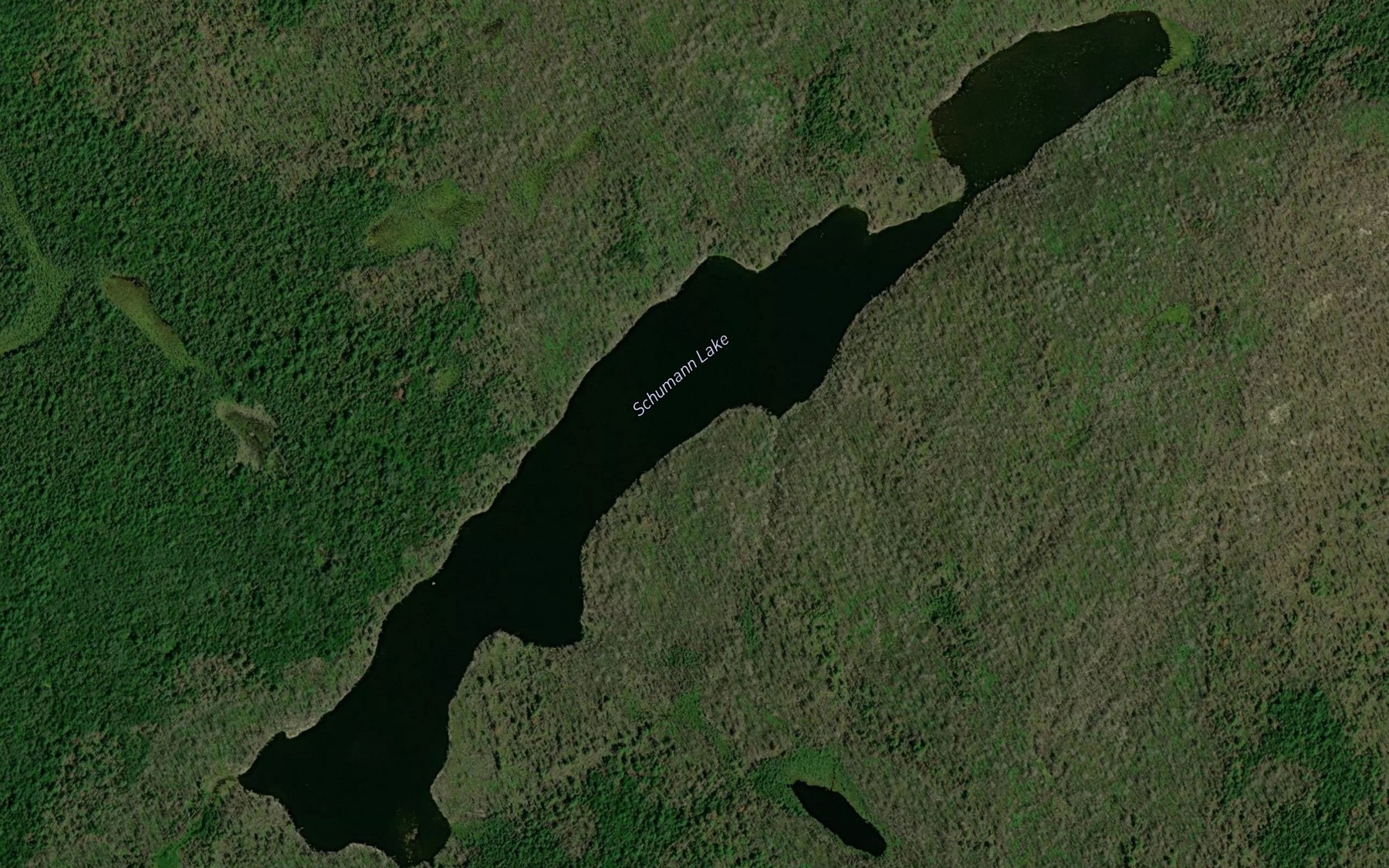 Satellite map of the Schumann Lake