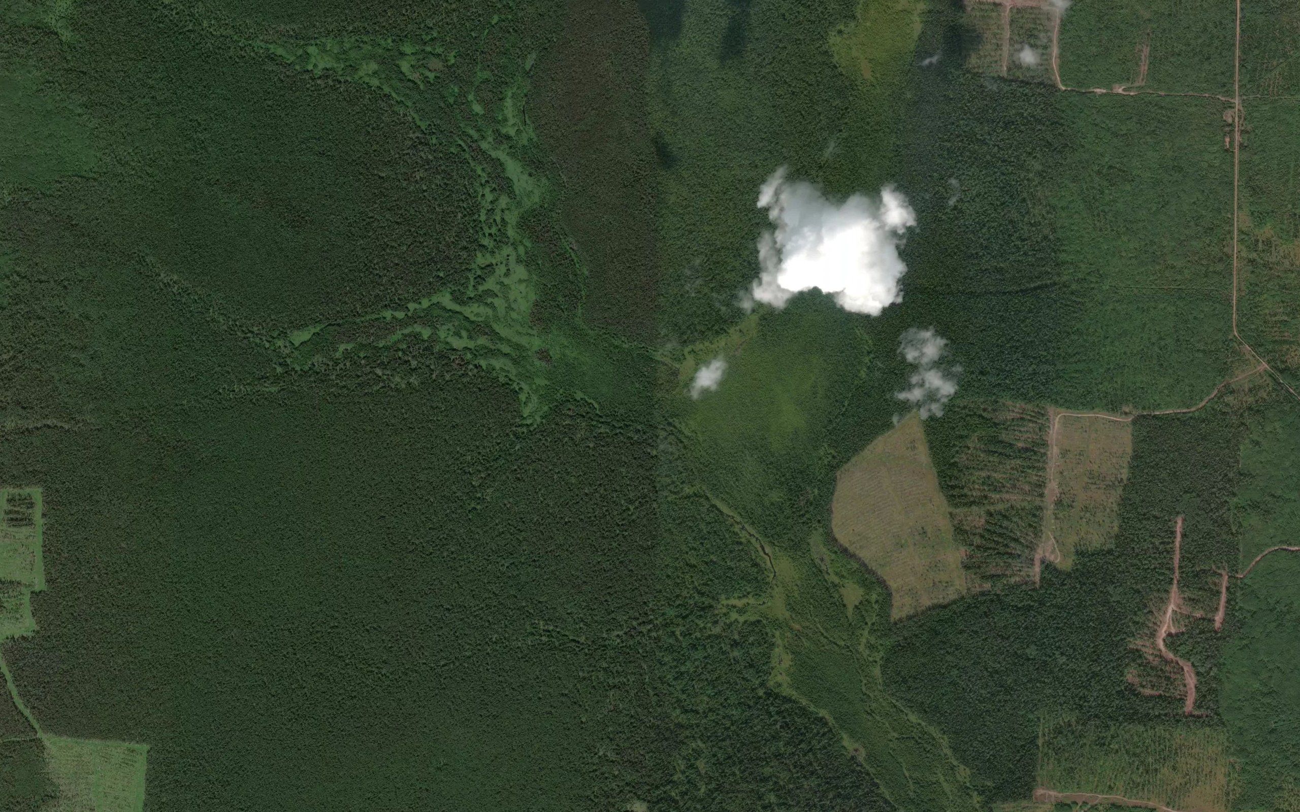 Nizhnyaya Omutka