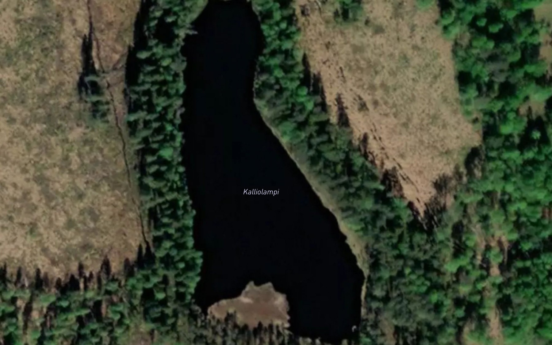 Satellite map of the Kalliolampi