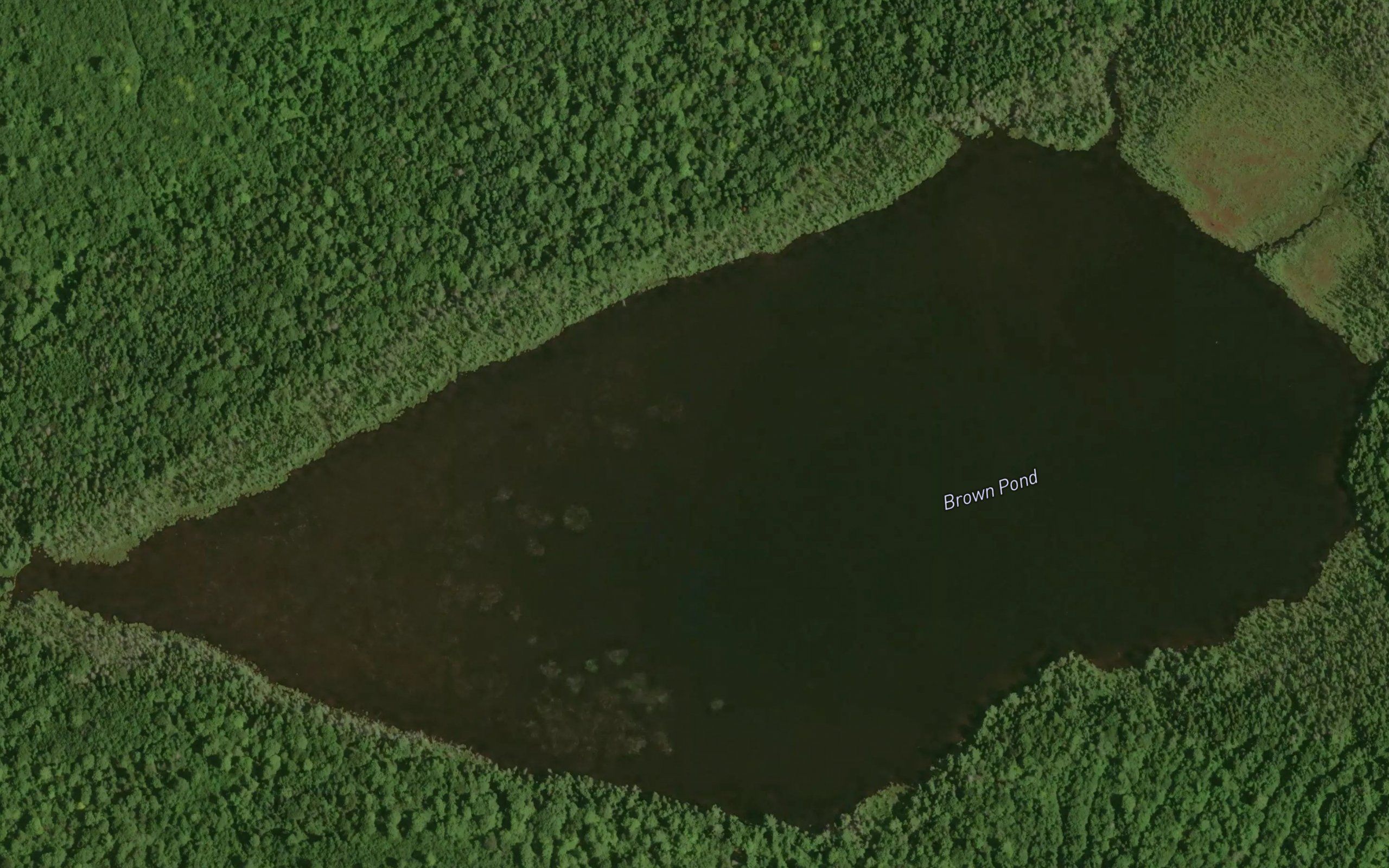 Brown Pond