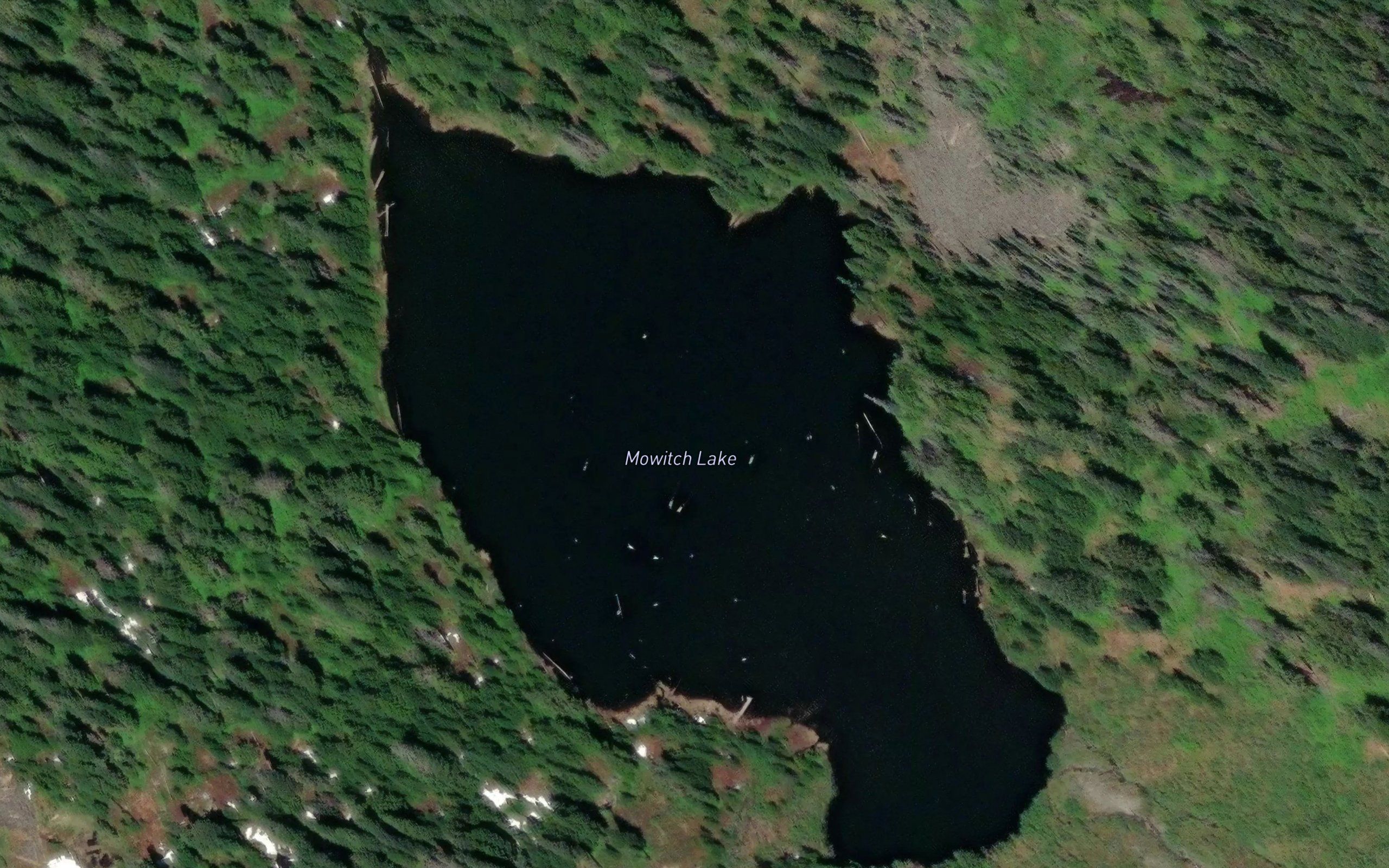 Mowitch Lake