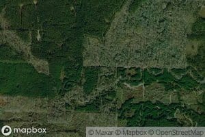 Little Cypress Creek