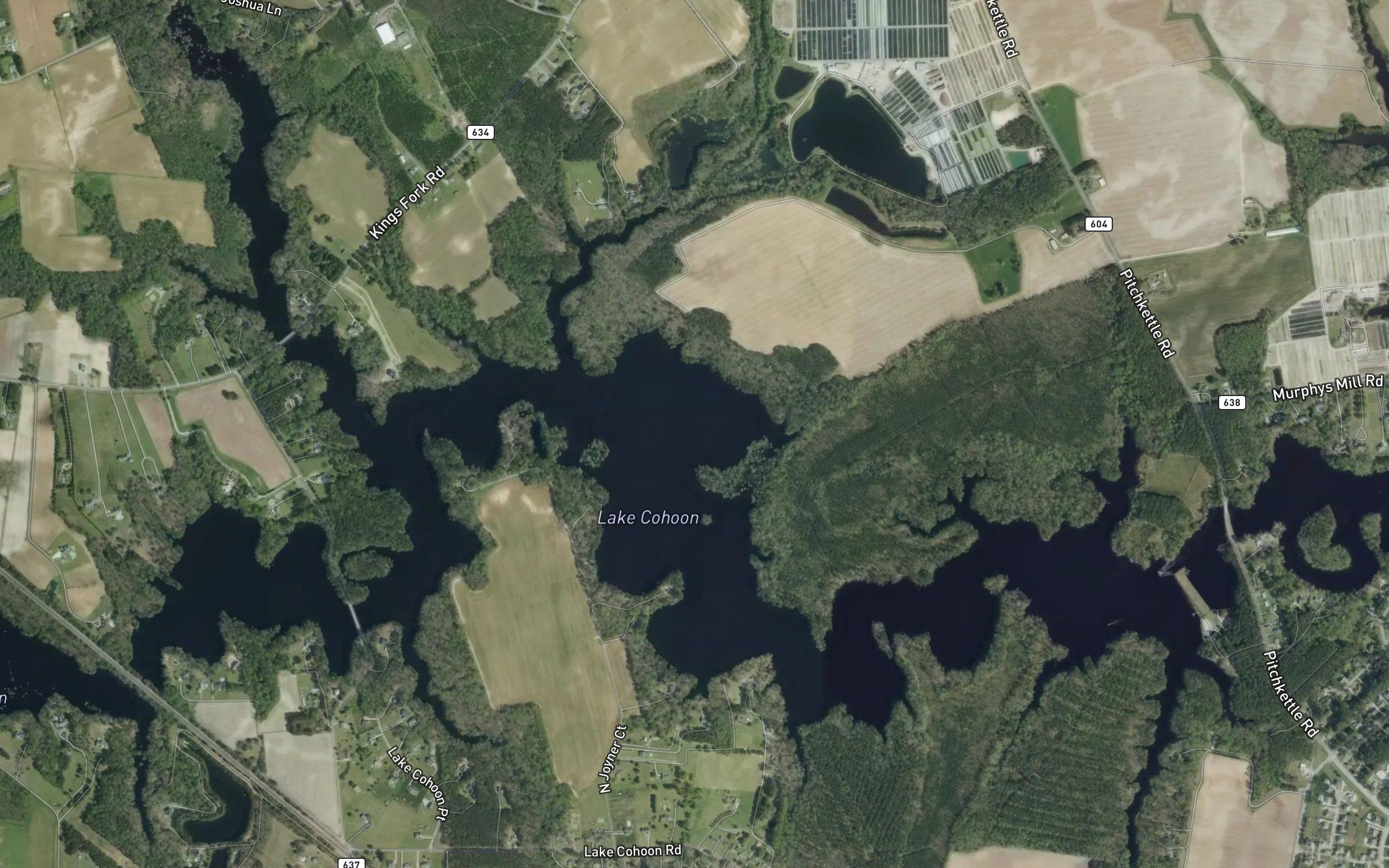 Lake Cohoon