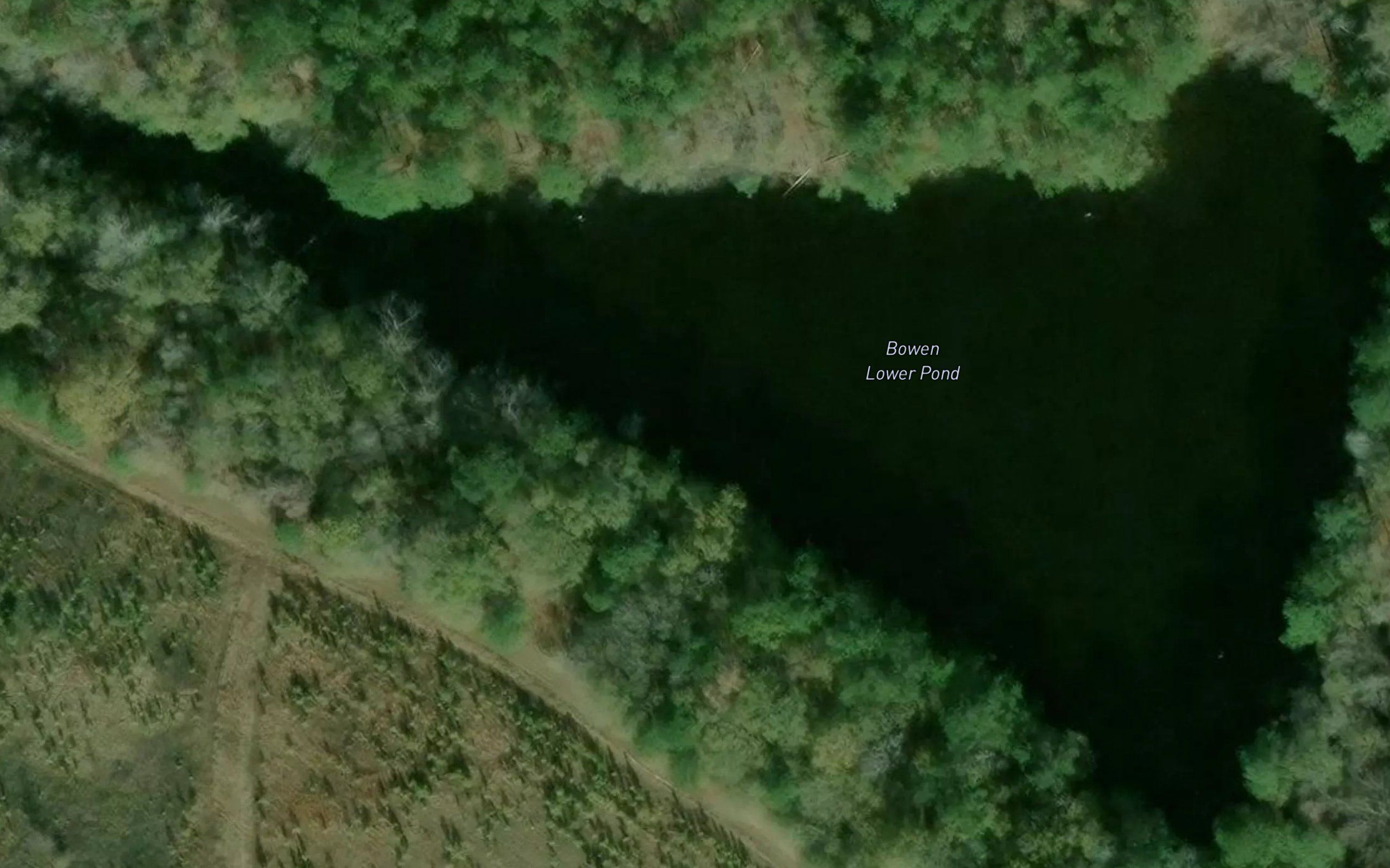 Bowen Lower Pond