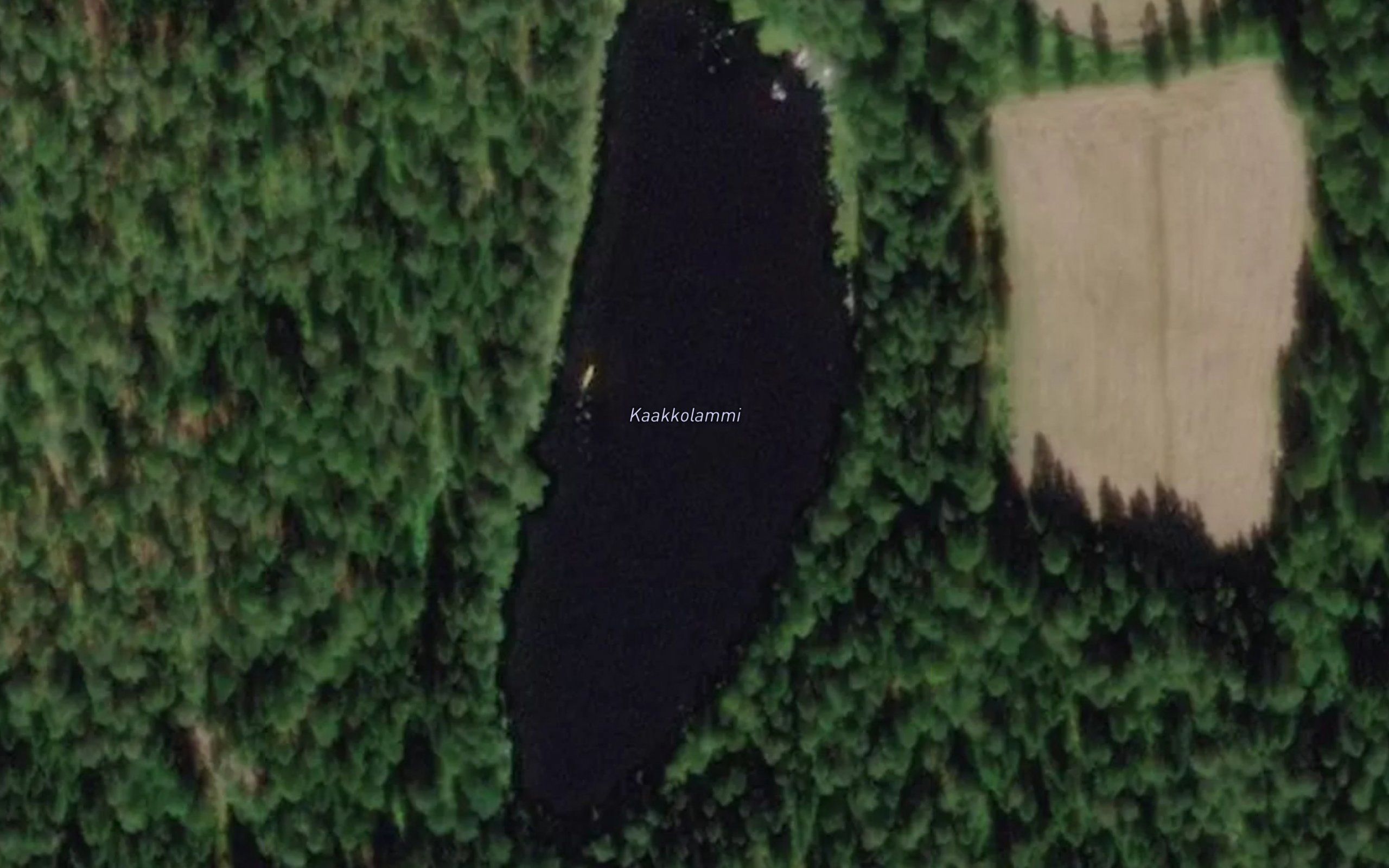 Kaakkolammi