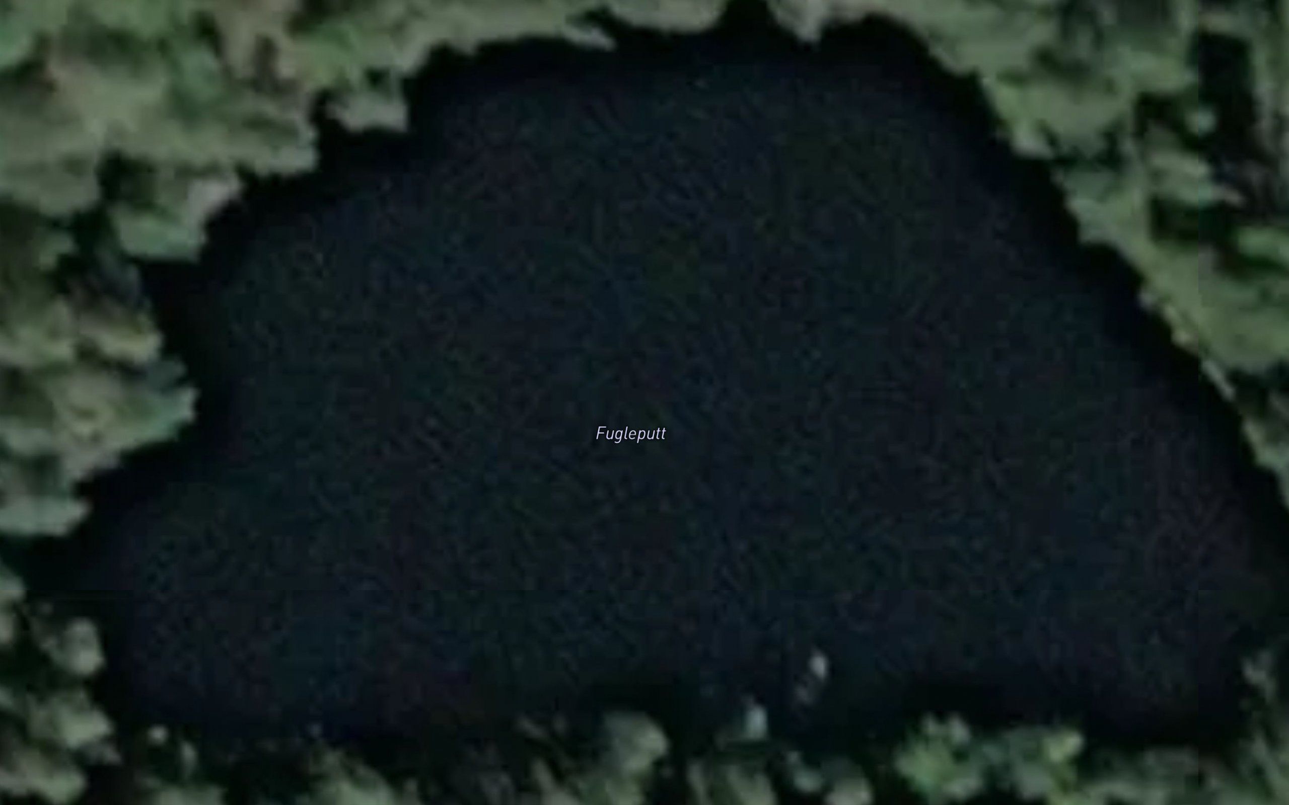 Fugleputt