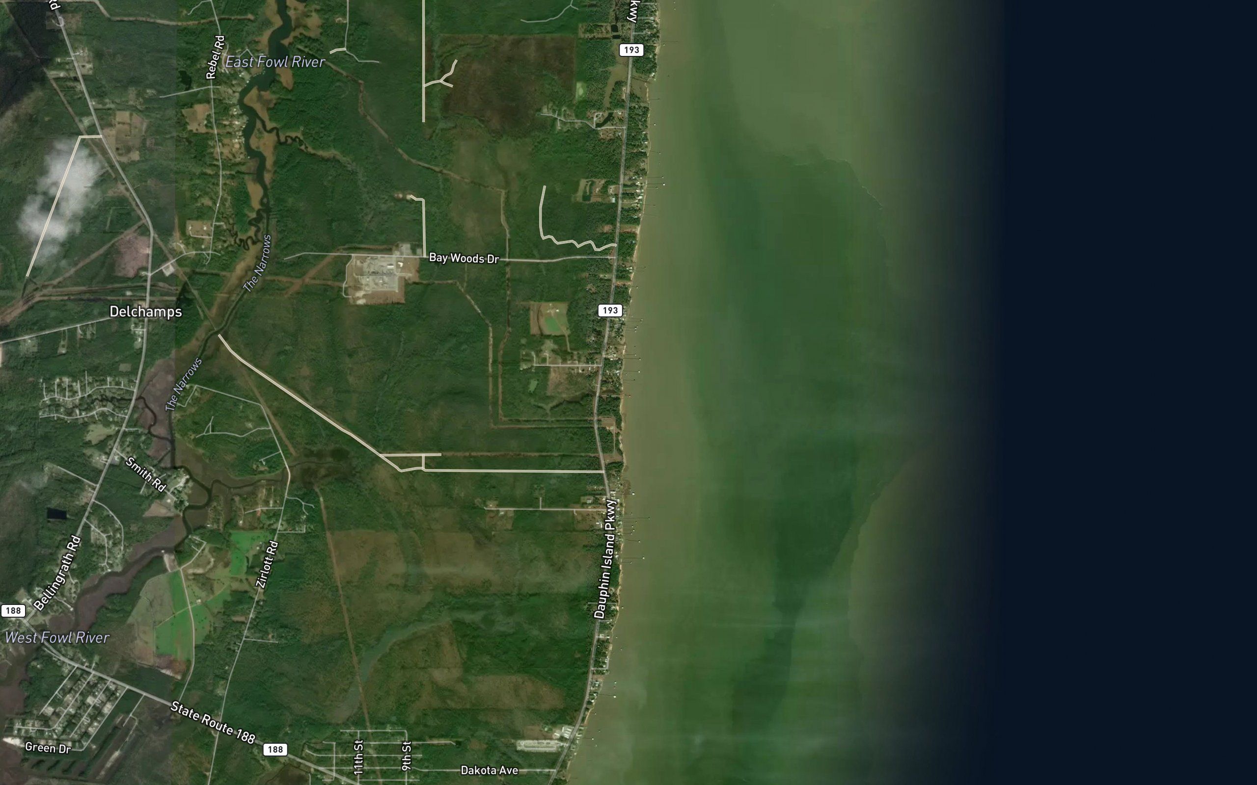 Delchamps Bayou