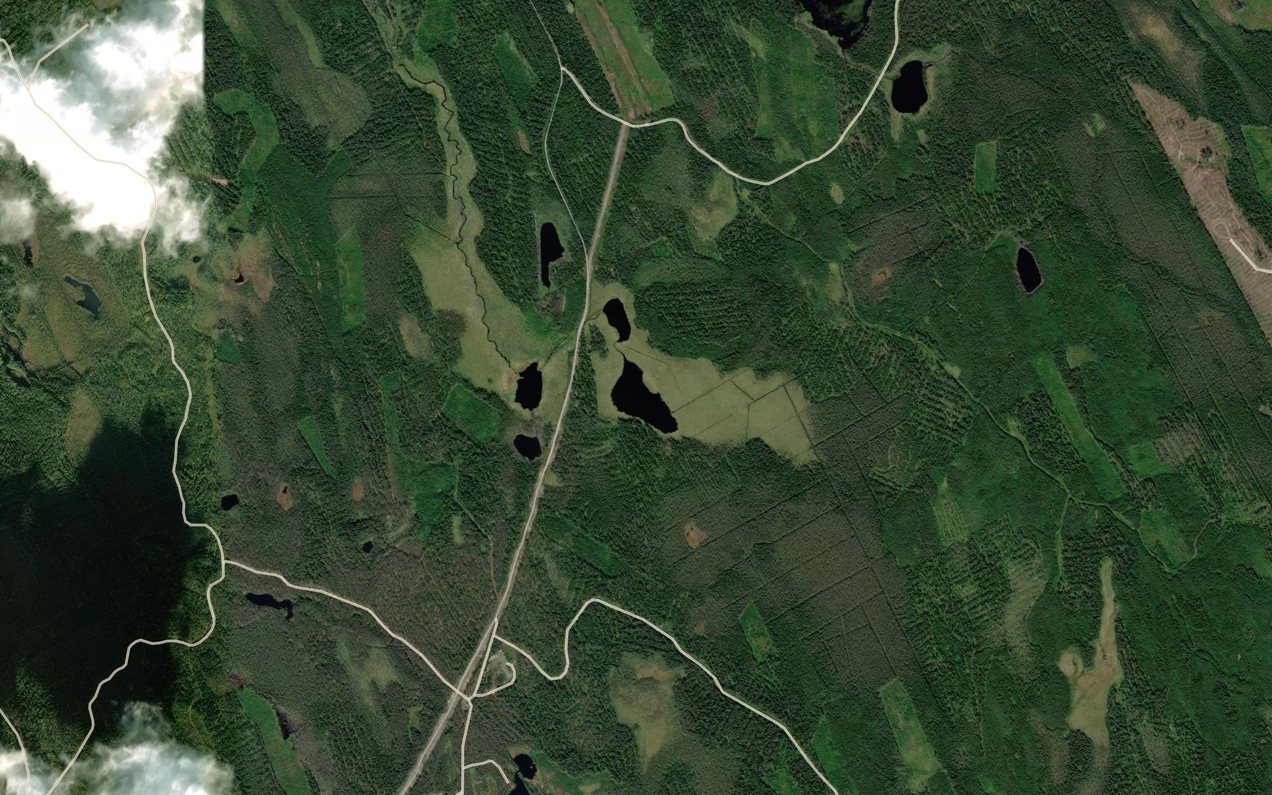 Ozero Liyeslampi