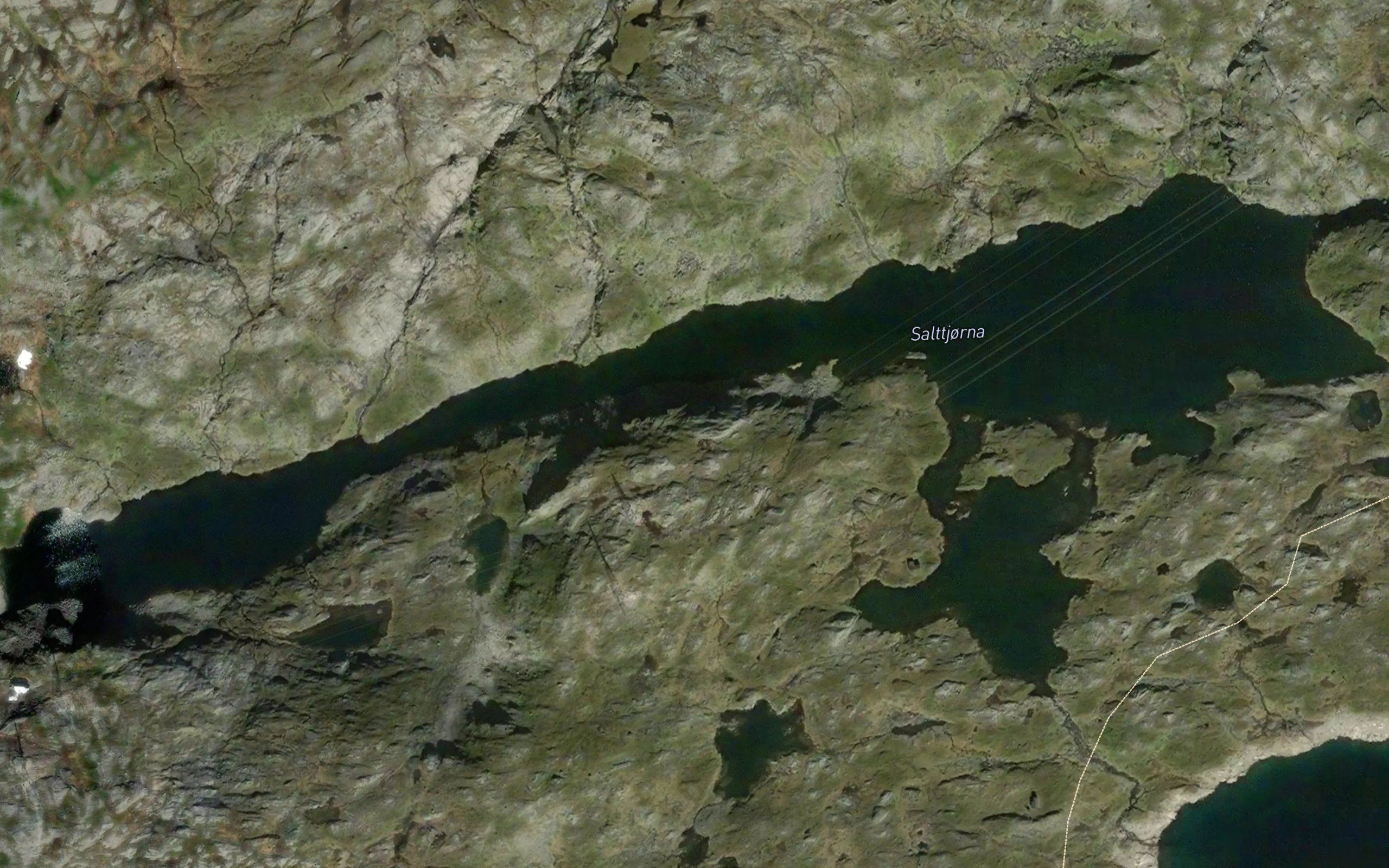 Salttjorna