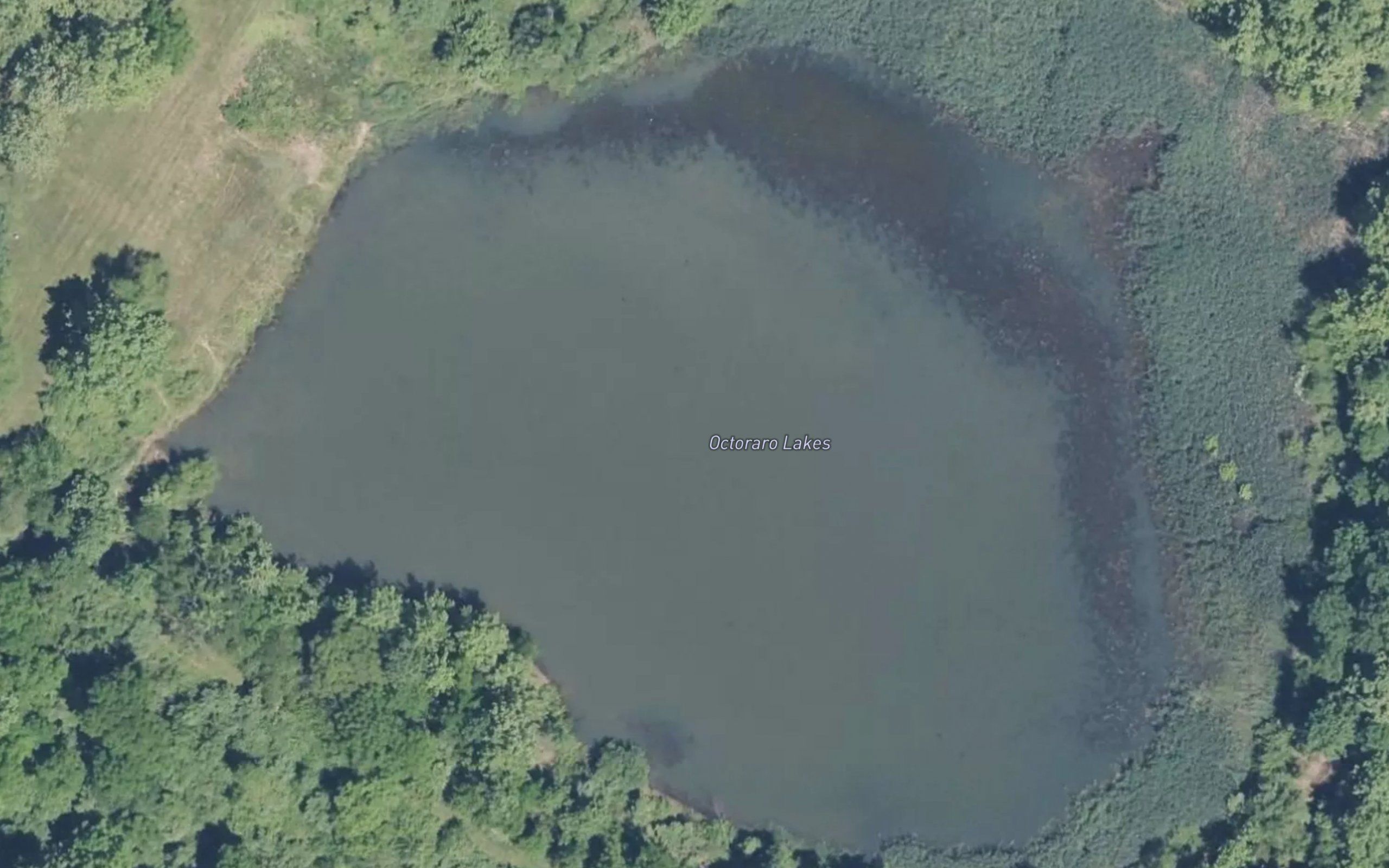 Octoraro Lakes