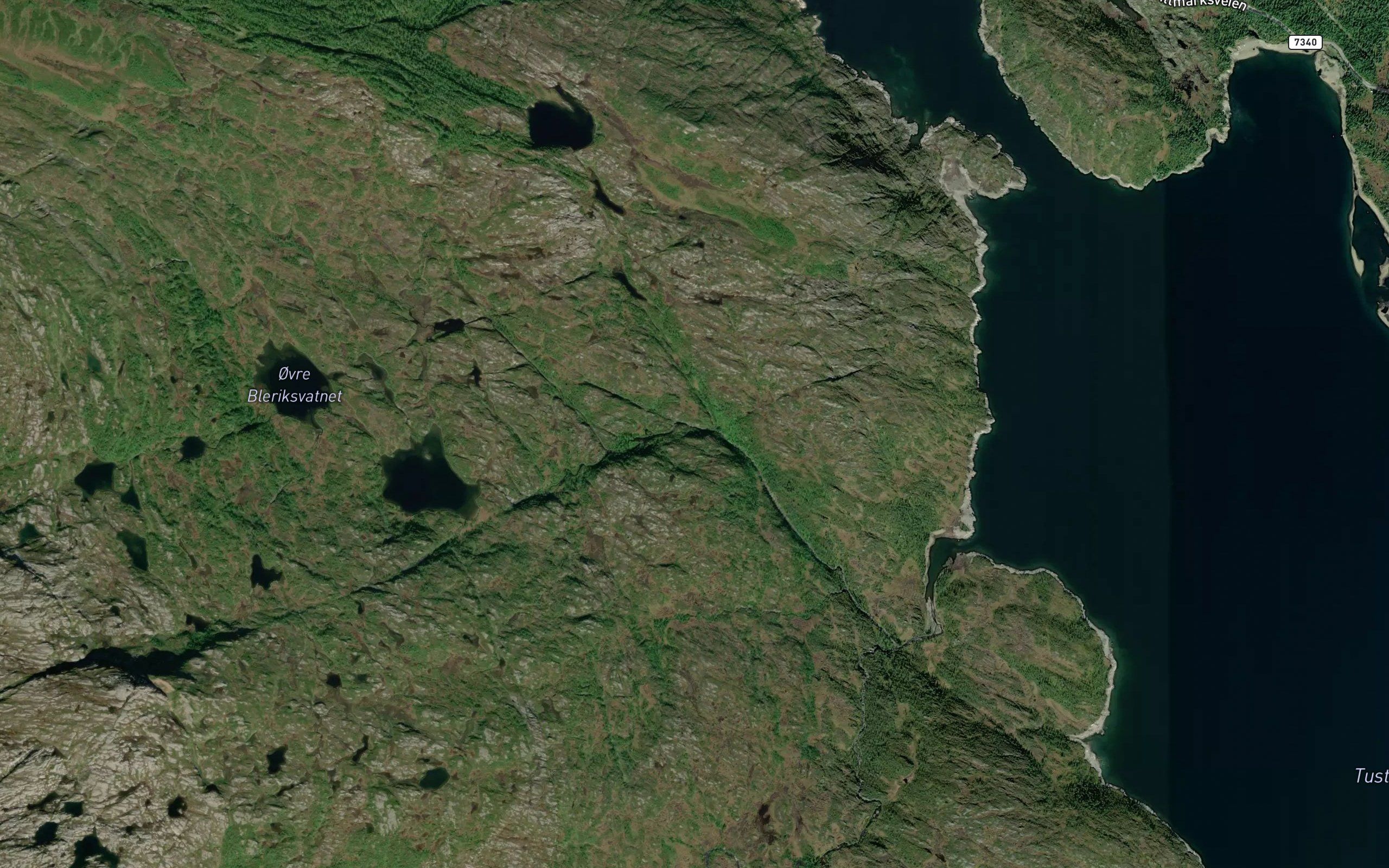 Bleriksvasselva