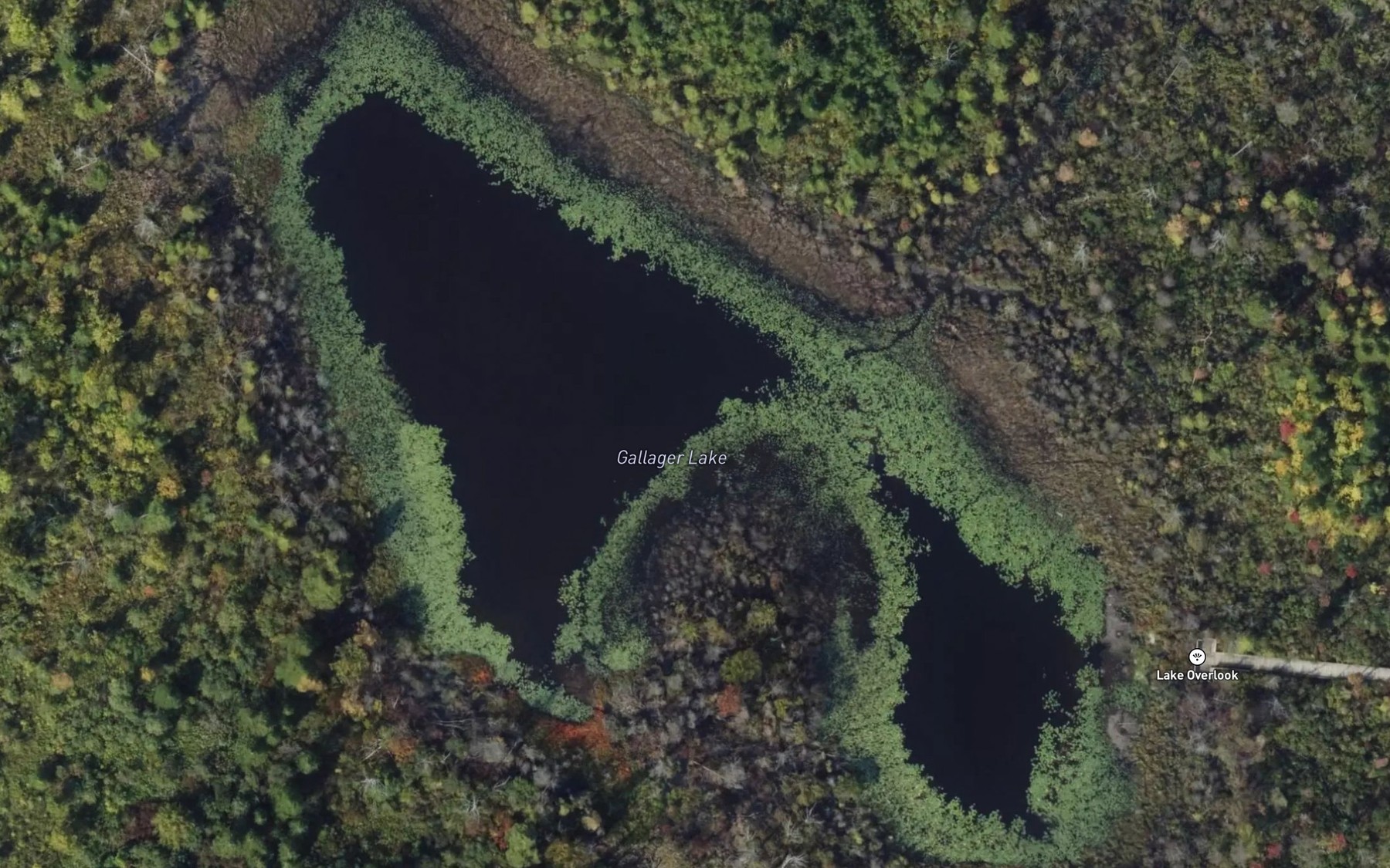 Satellite map of the Gallager Lake
