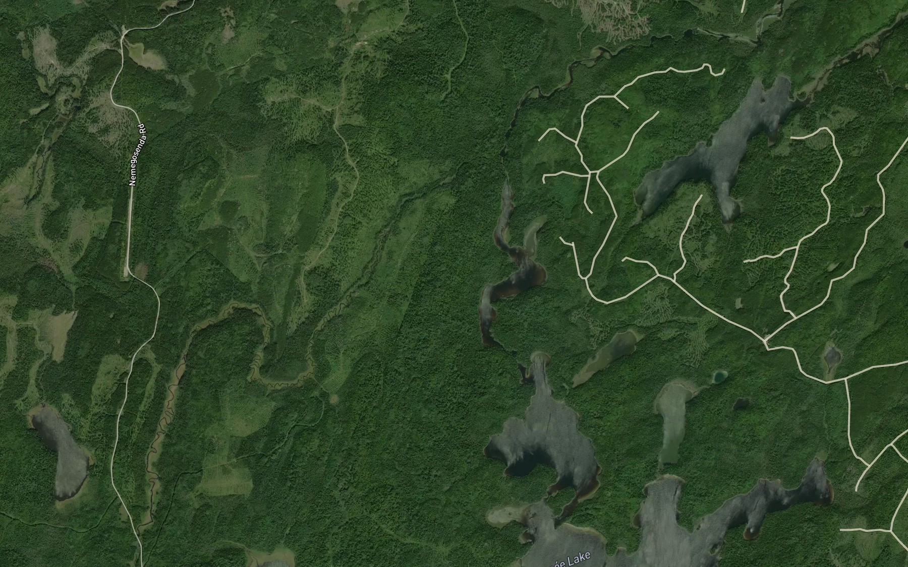 Satellite map of the Little Shawmere River