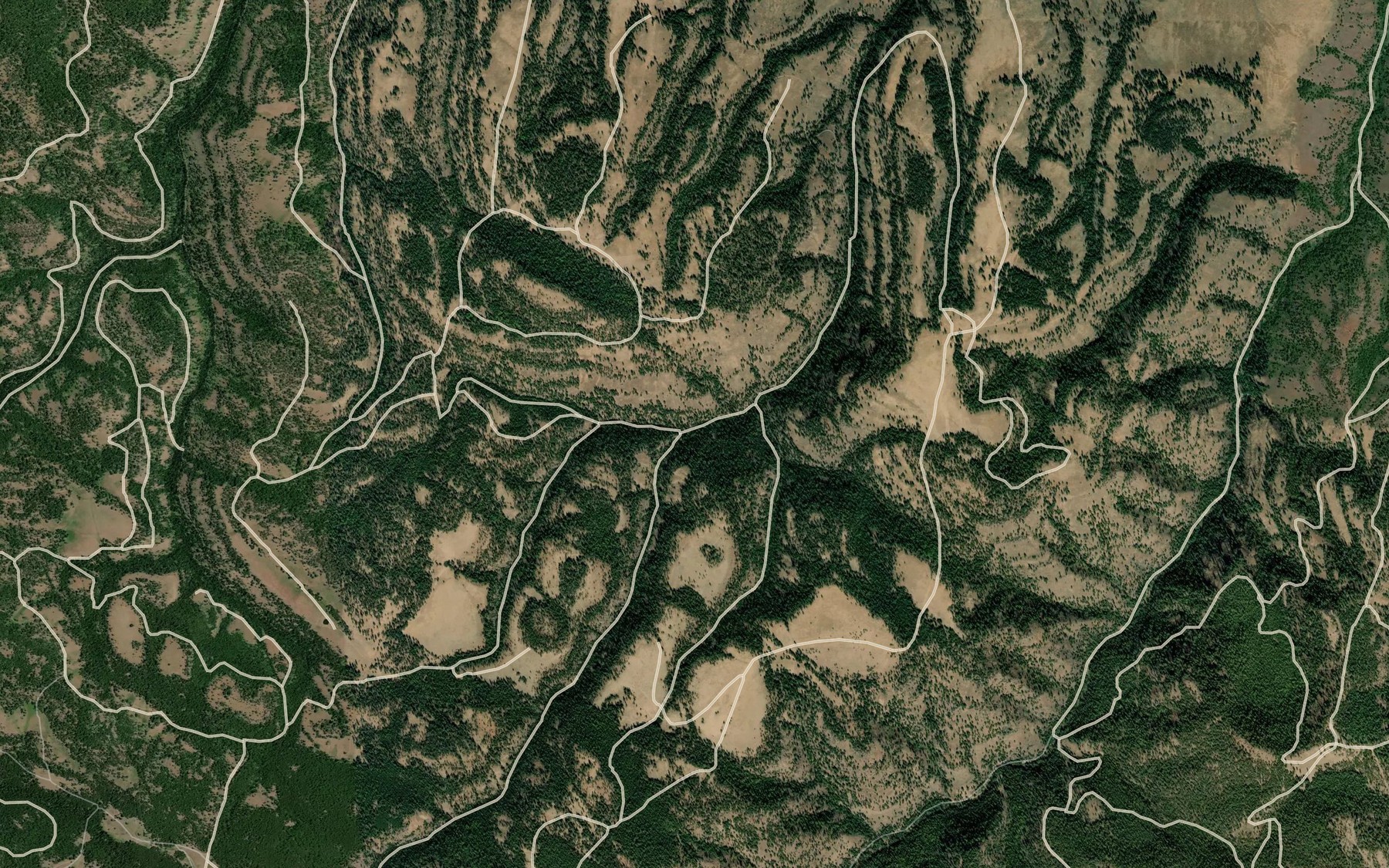 Satellite map of the Swan Creek