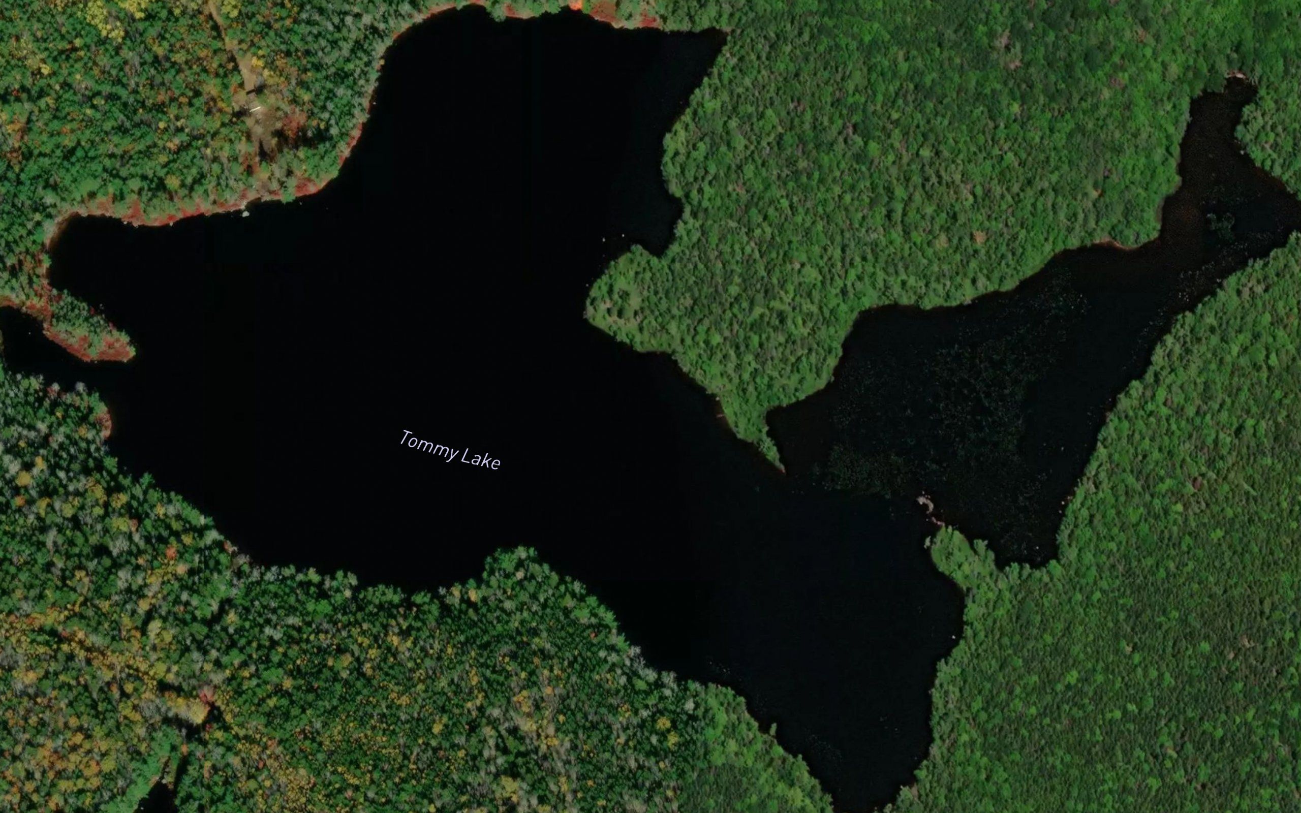 Tommy Lake