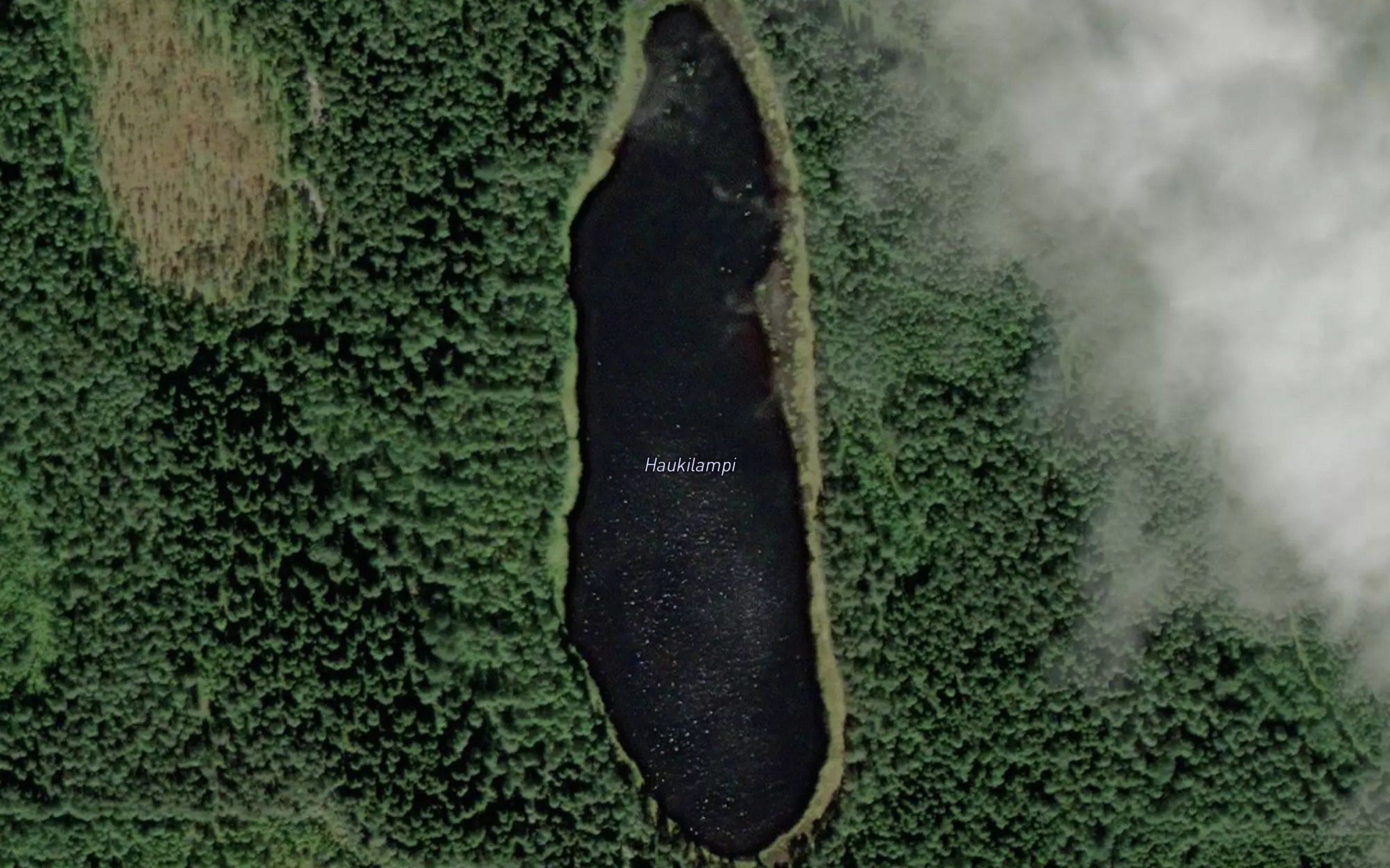 Haukilampi