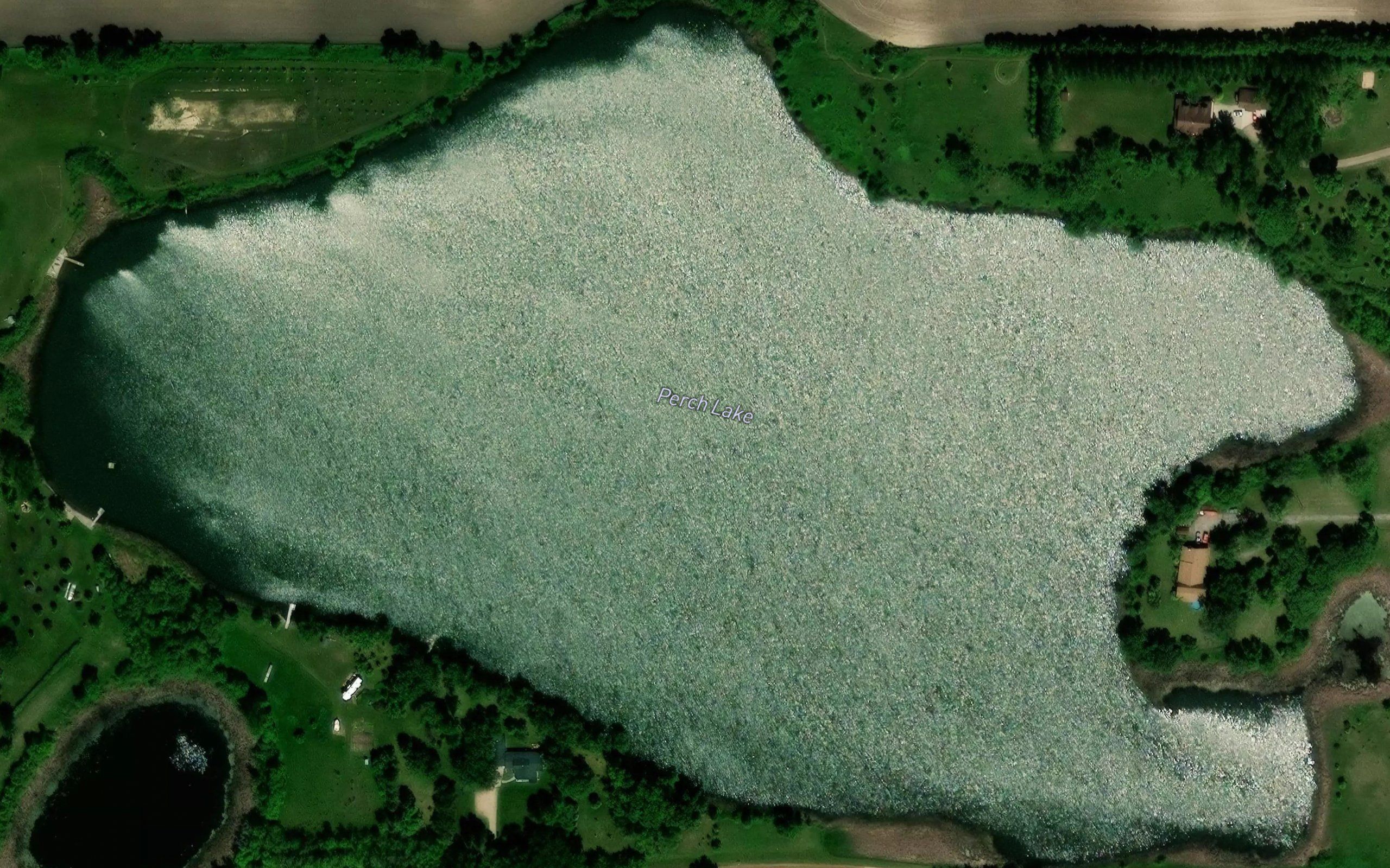 Perch Lake