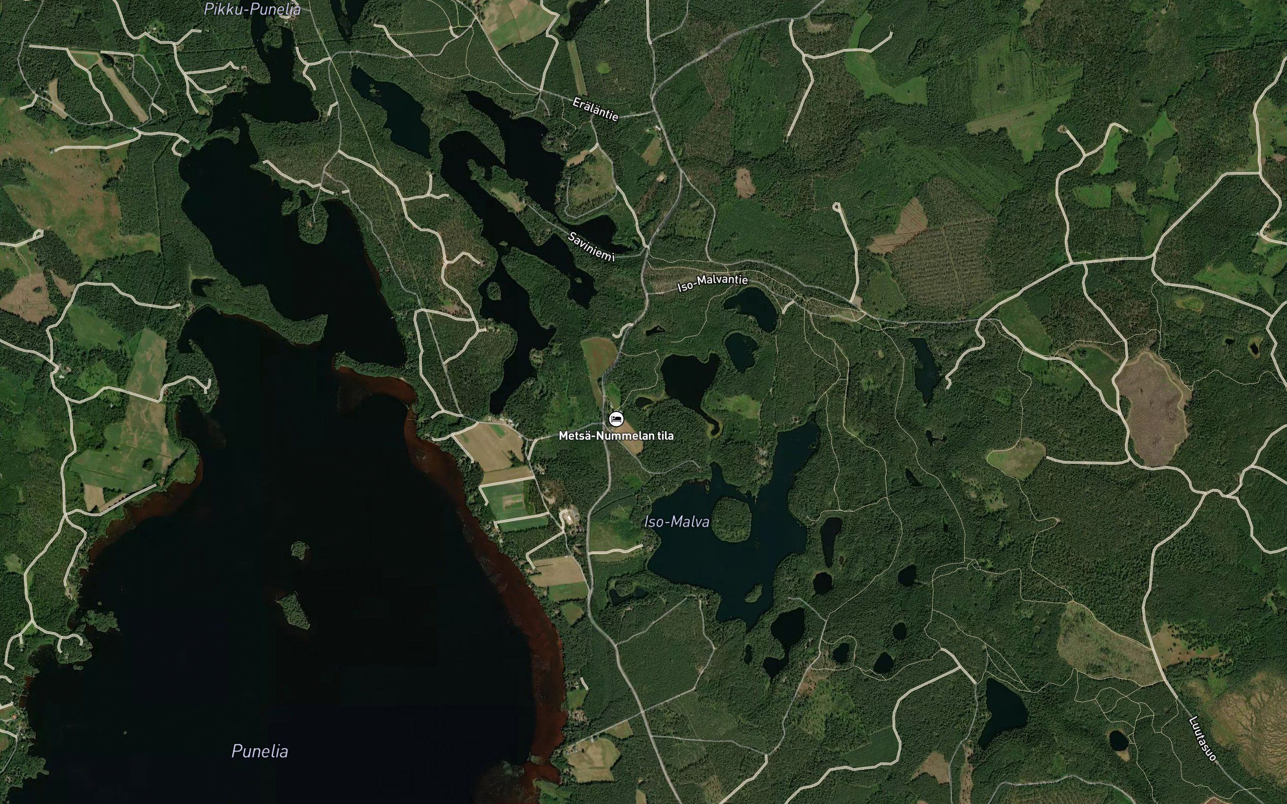 Saunalammi