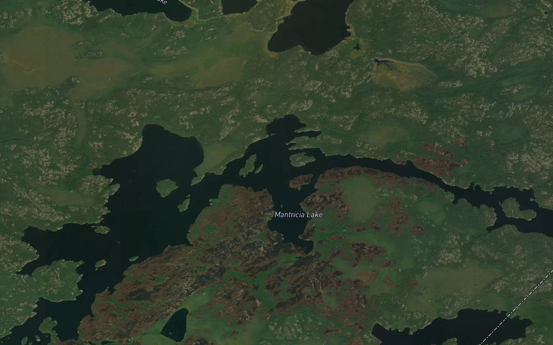 Satellite map of the Mantricia Lake